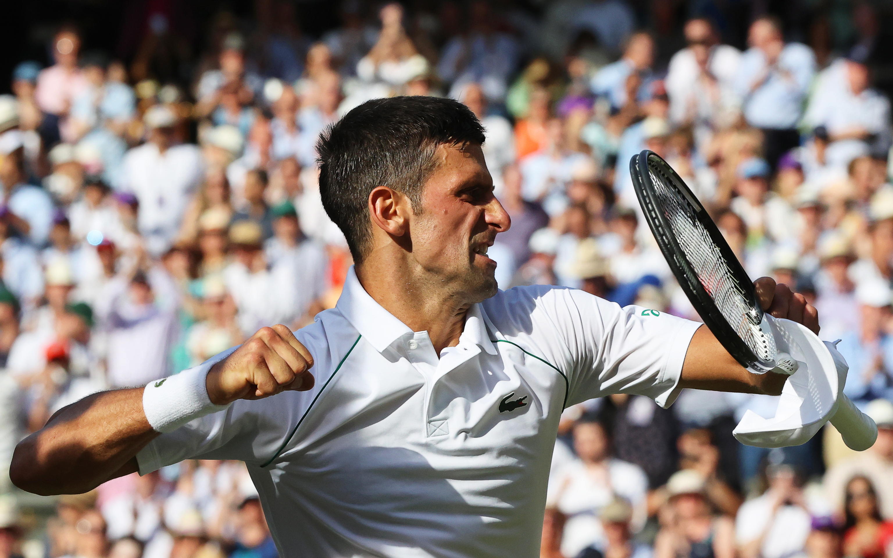 Djokovic campione infortunio