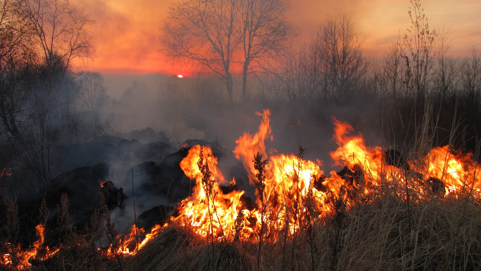 incendio