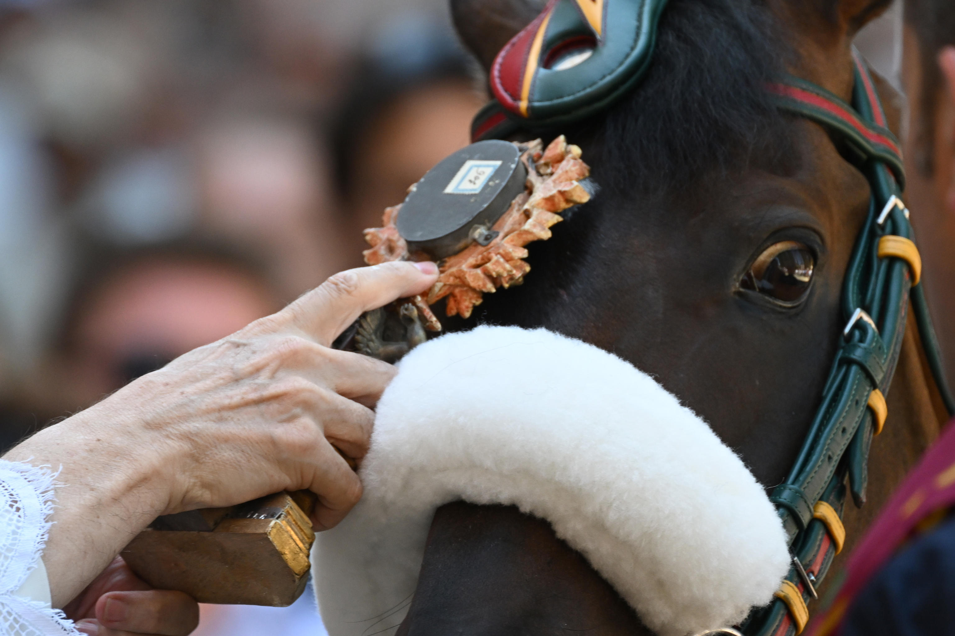 palio cavallo ANSA/CLAUDIO GIOVANNINI