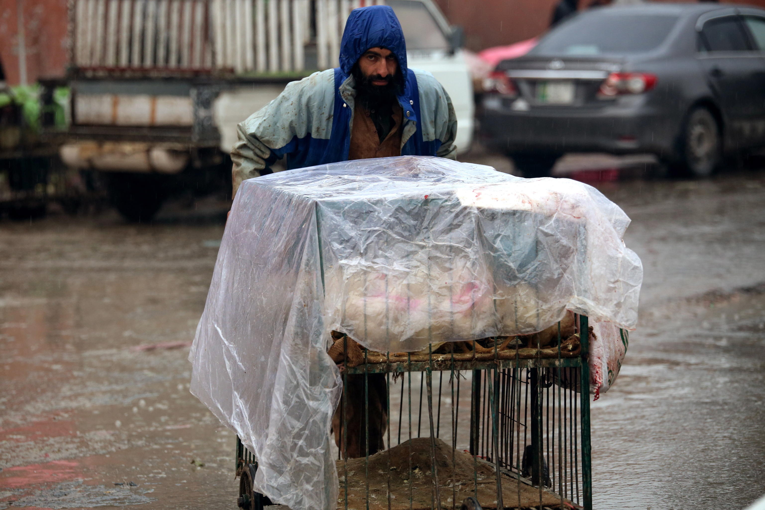 EPA/BILAWAL ARBAB