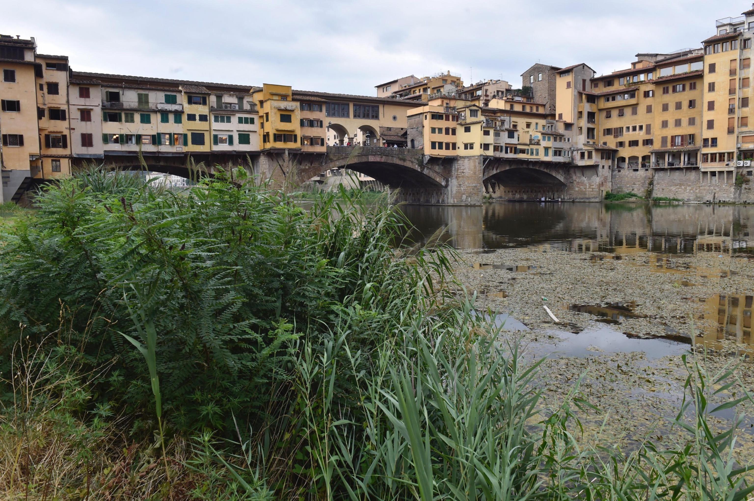 arno