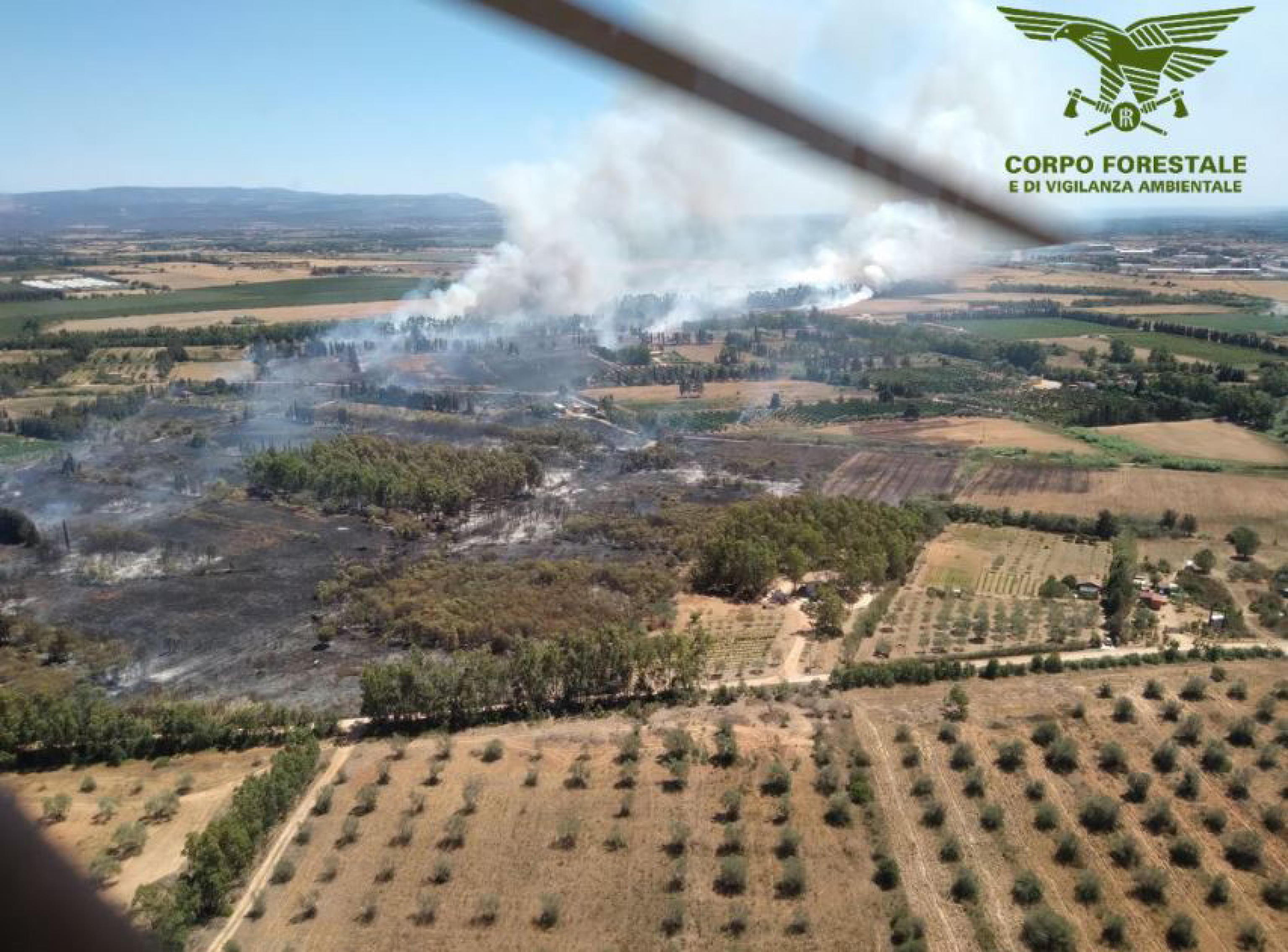 ANSA/Corpo Forestale