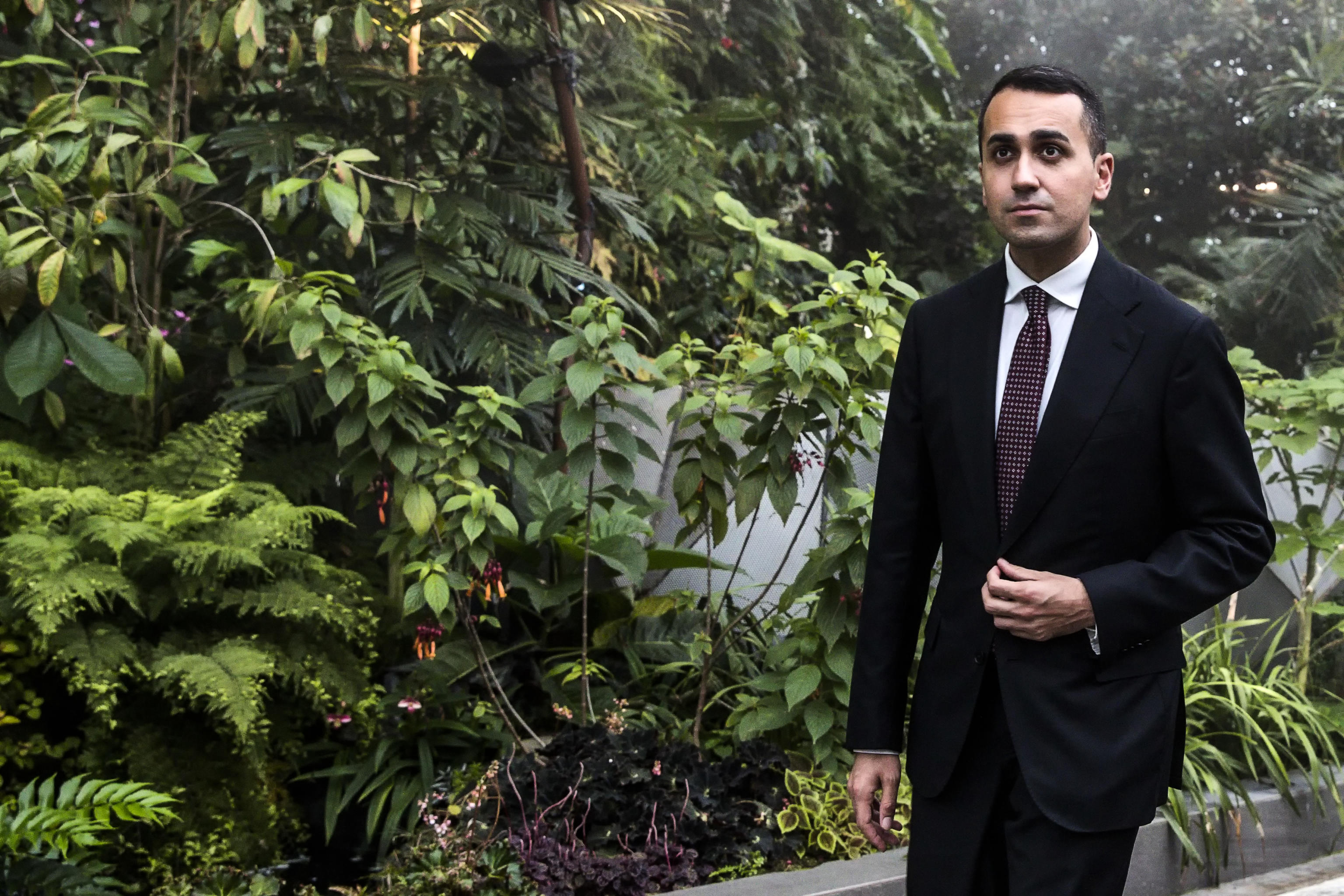 di maio
