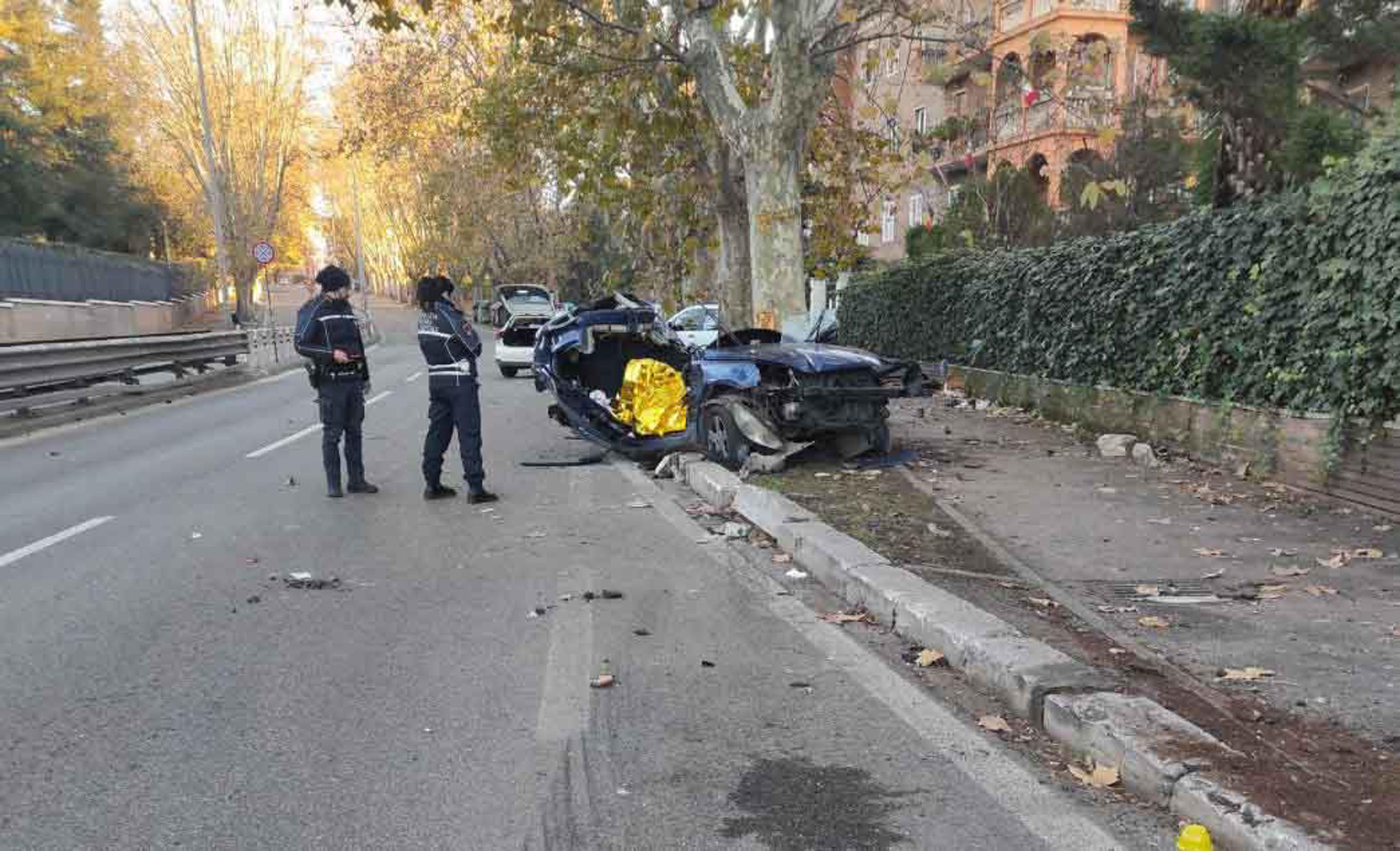 ansa auto albero