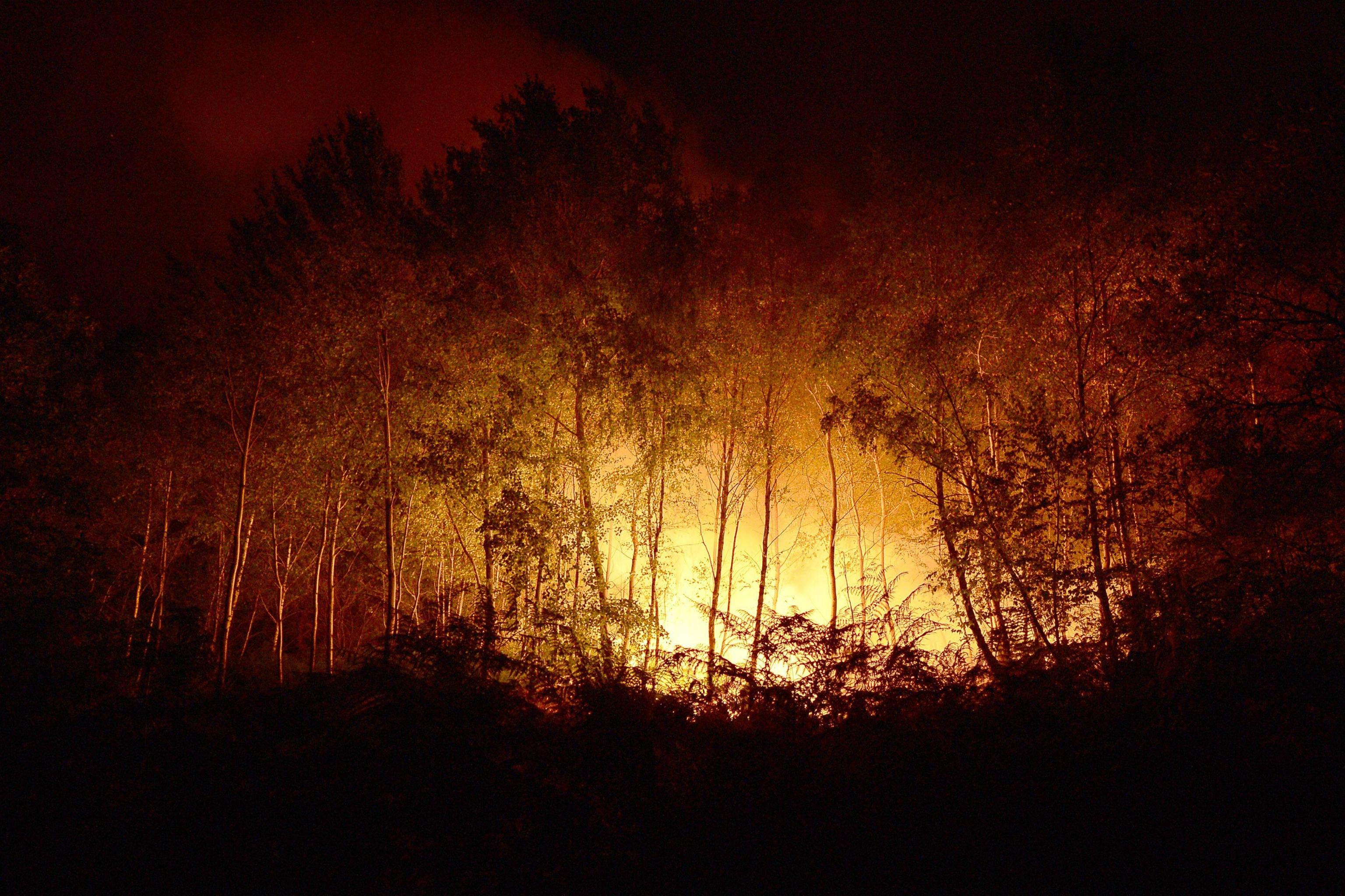 francia incendio