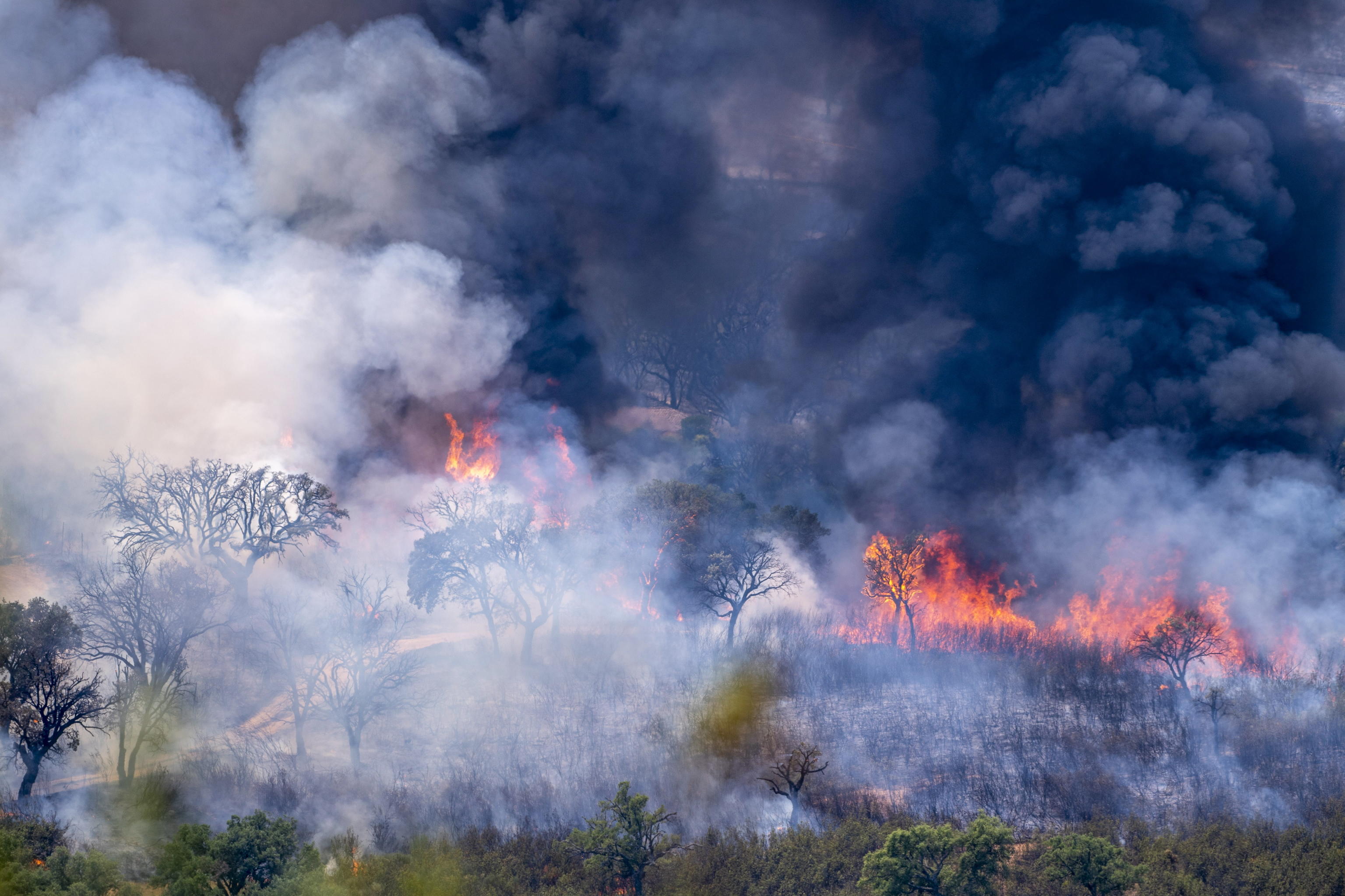 INCENDIO