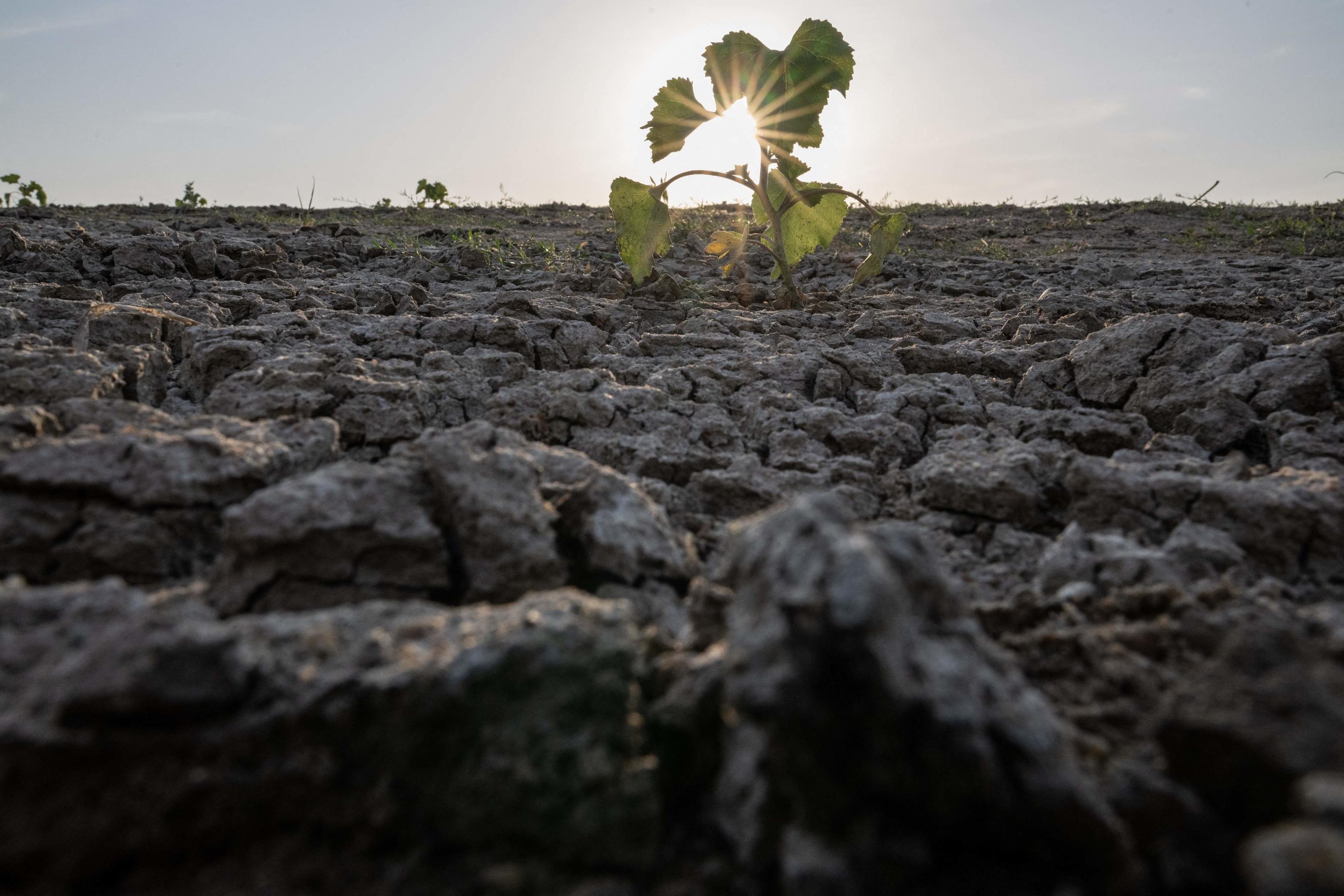 onu cambiamento climatico