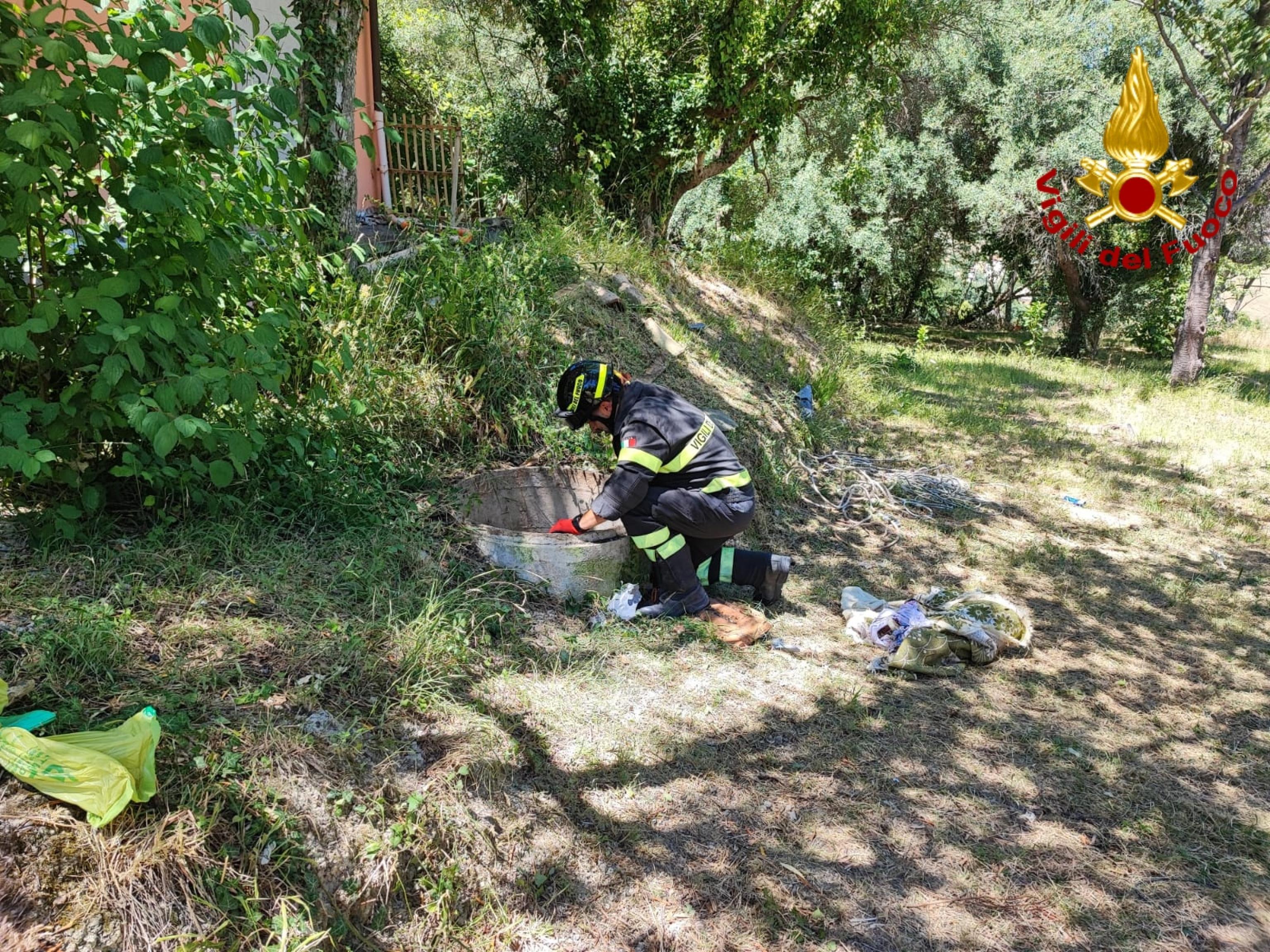 ANSA/Uff stampa Vigili del fuoco