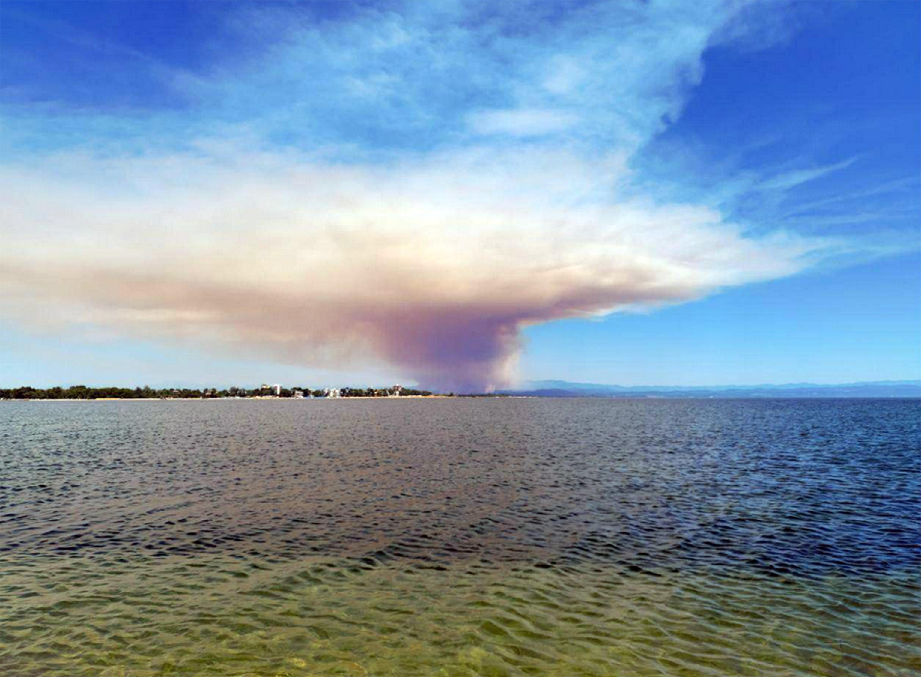 incendio carso