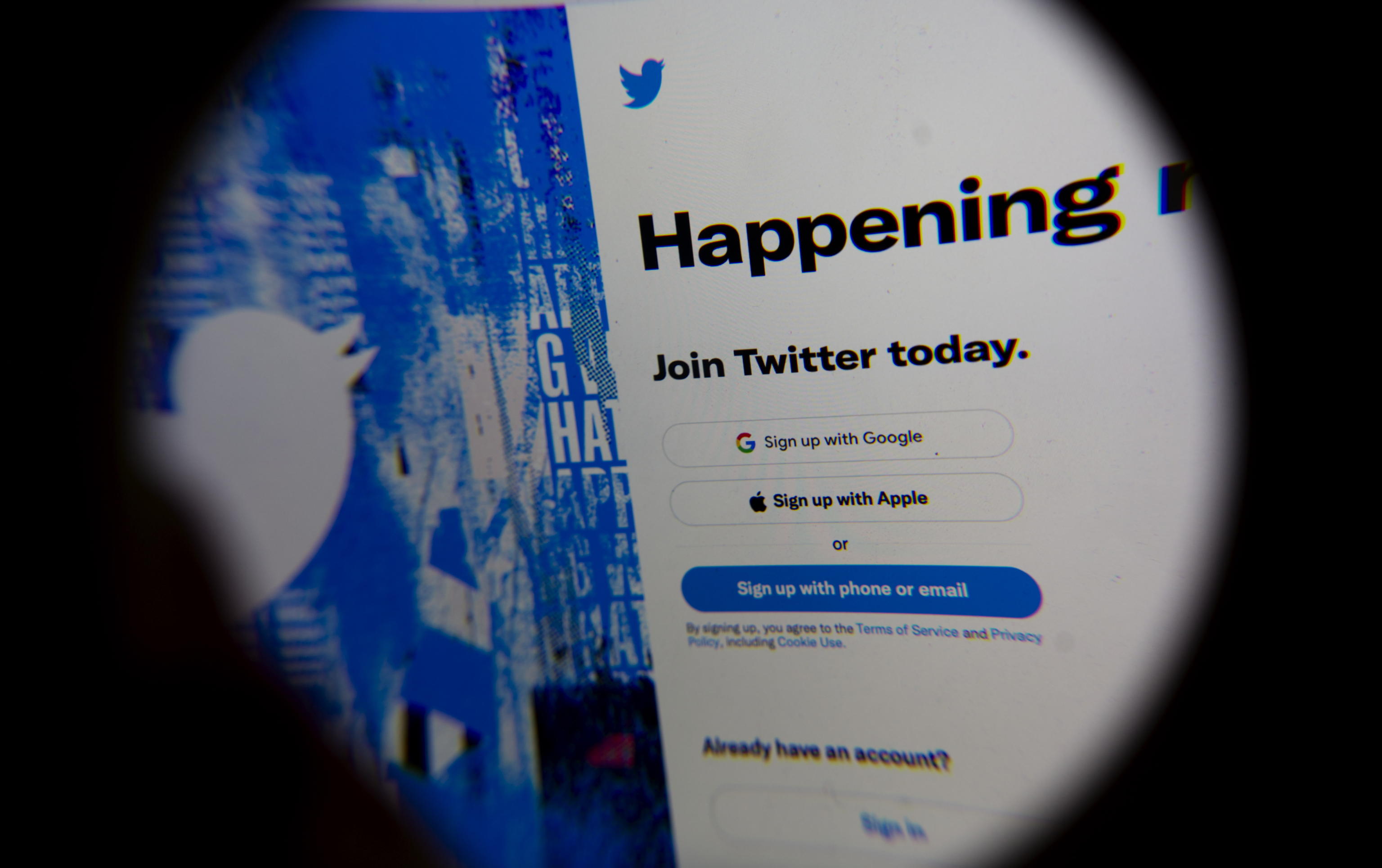 Musk Twitter
