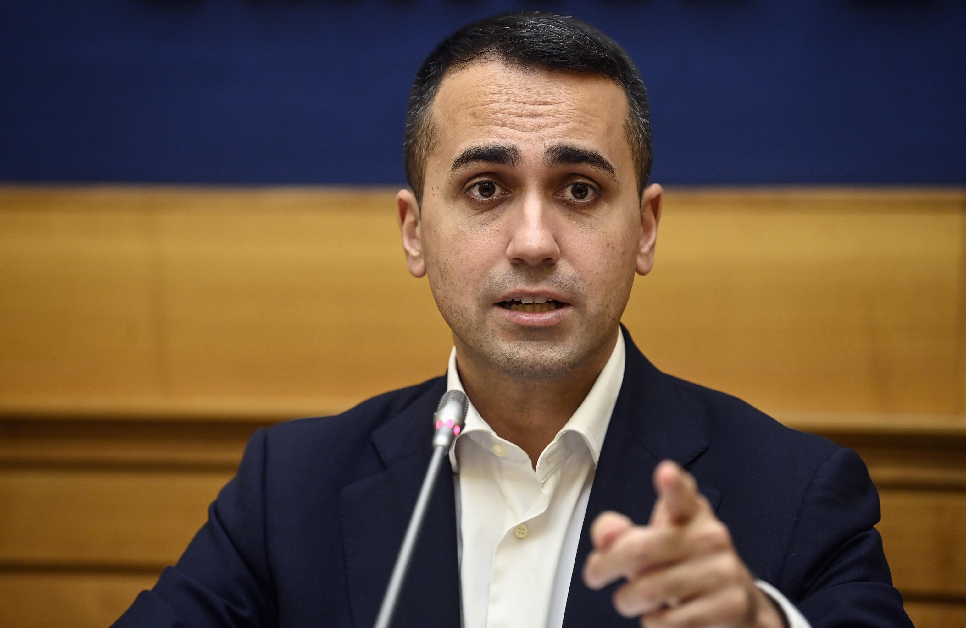 ANSA/RICCARDO ANTIMIANI