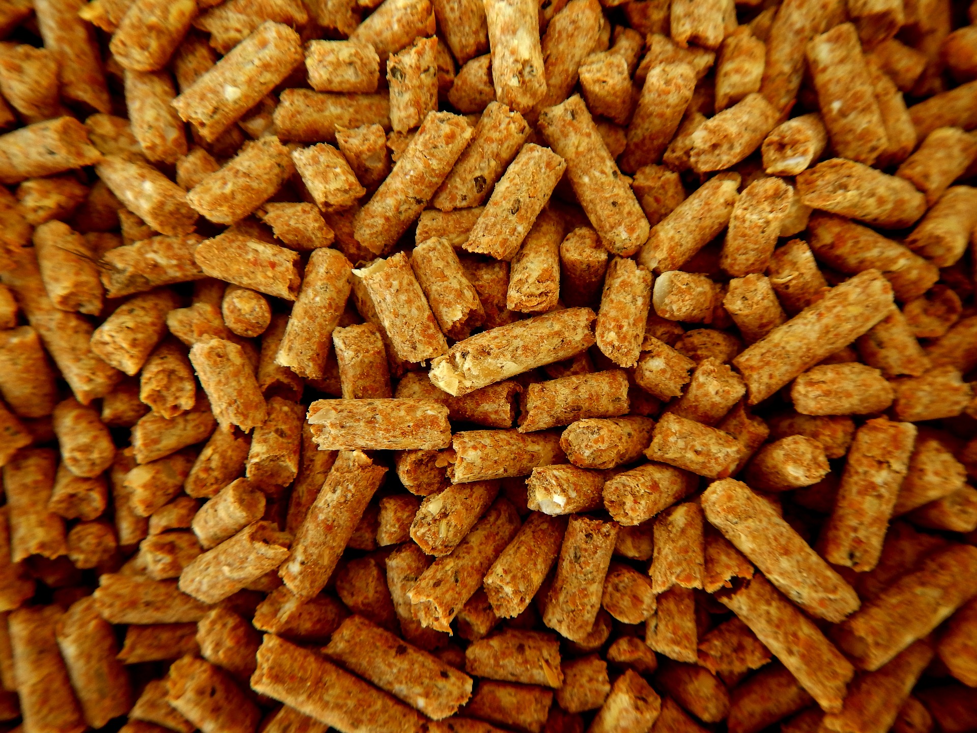 PELLET