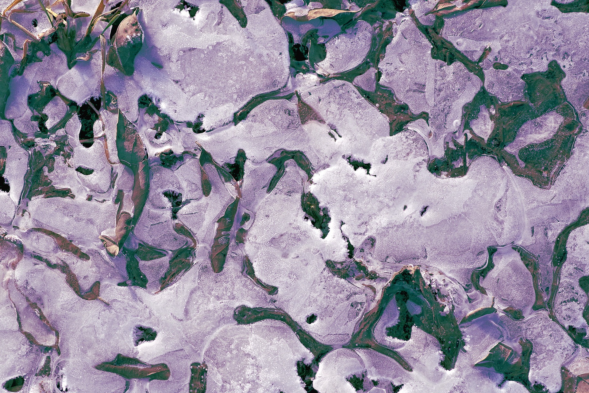 PERMAFROST SIBERIANO