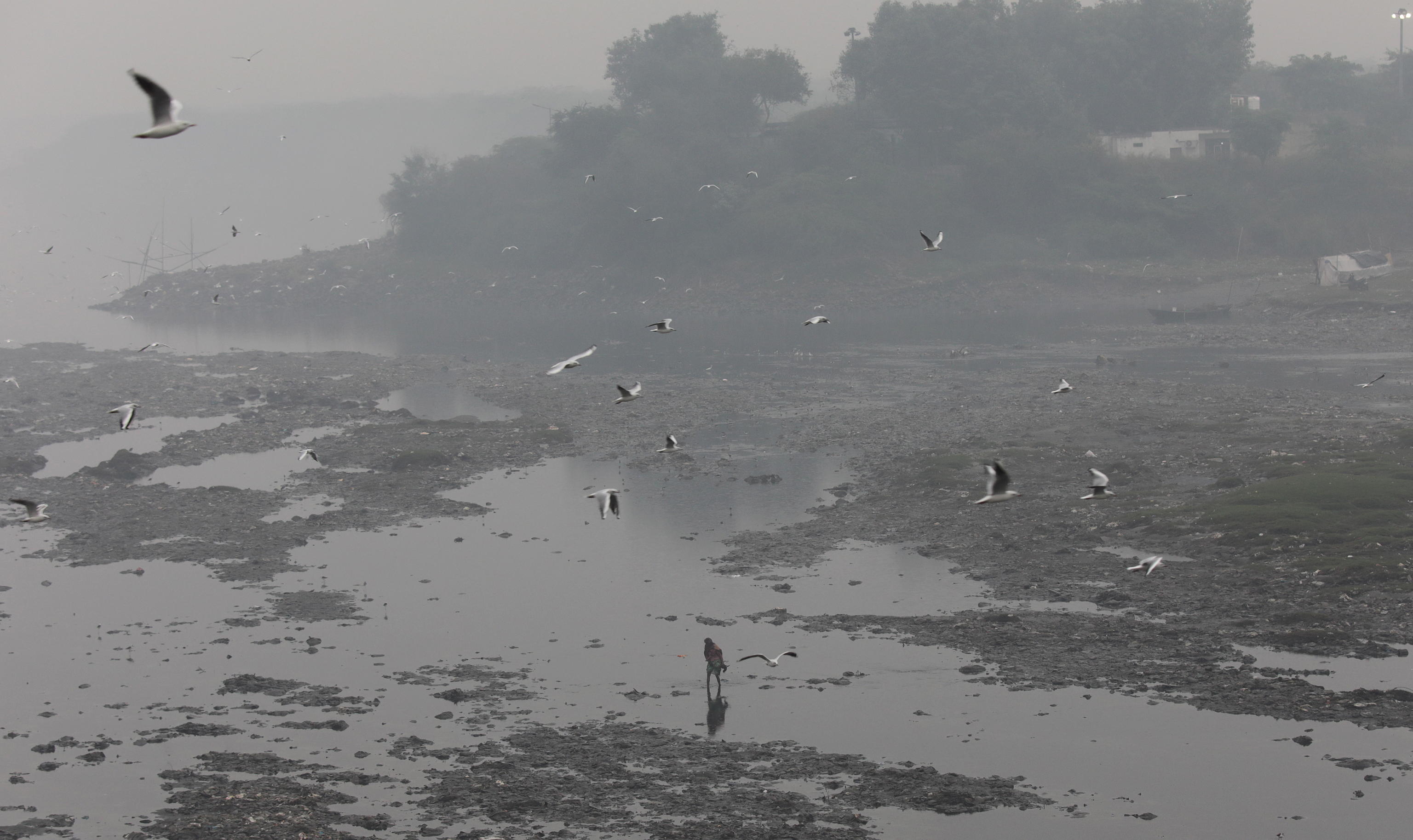 delhi inquinamento