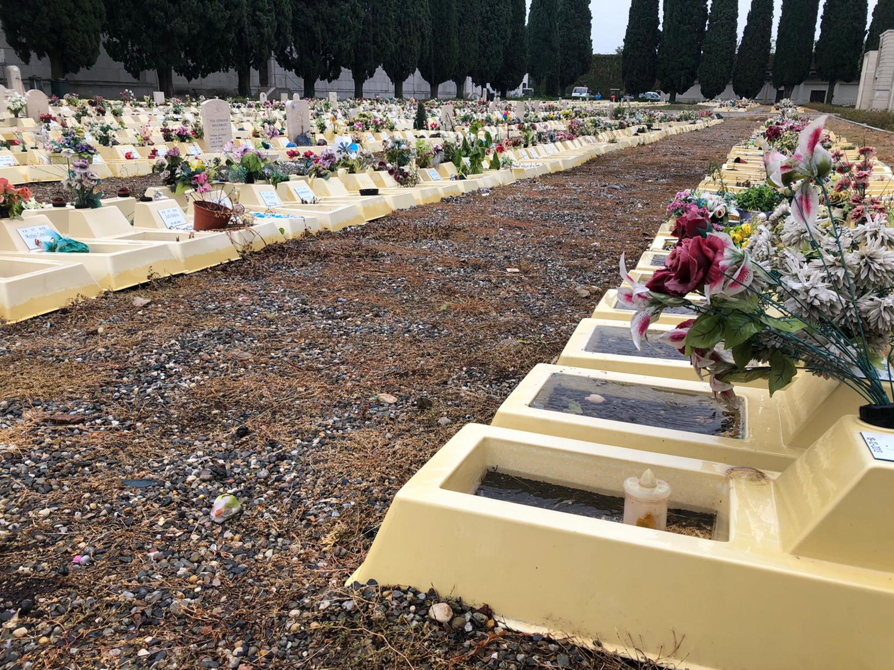 cimitero feti