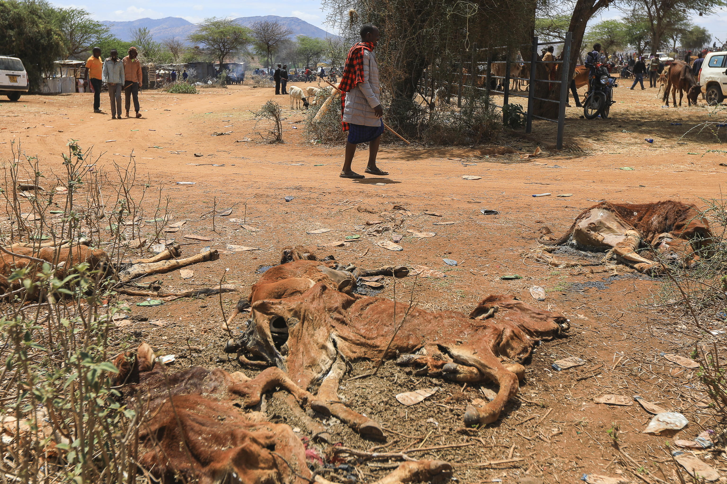 EPA/Daniel Irungu