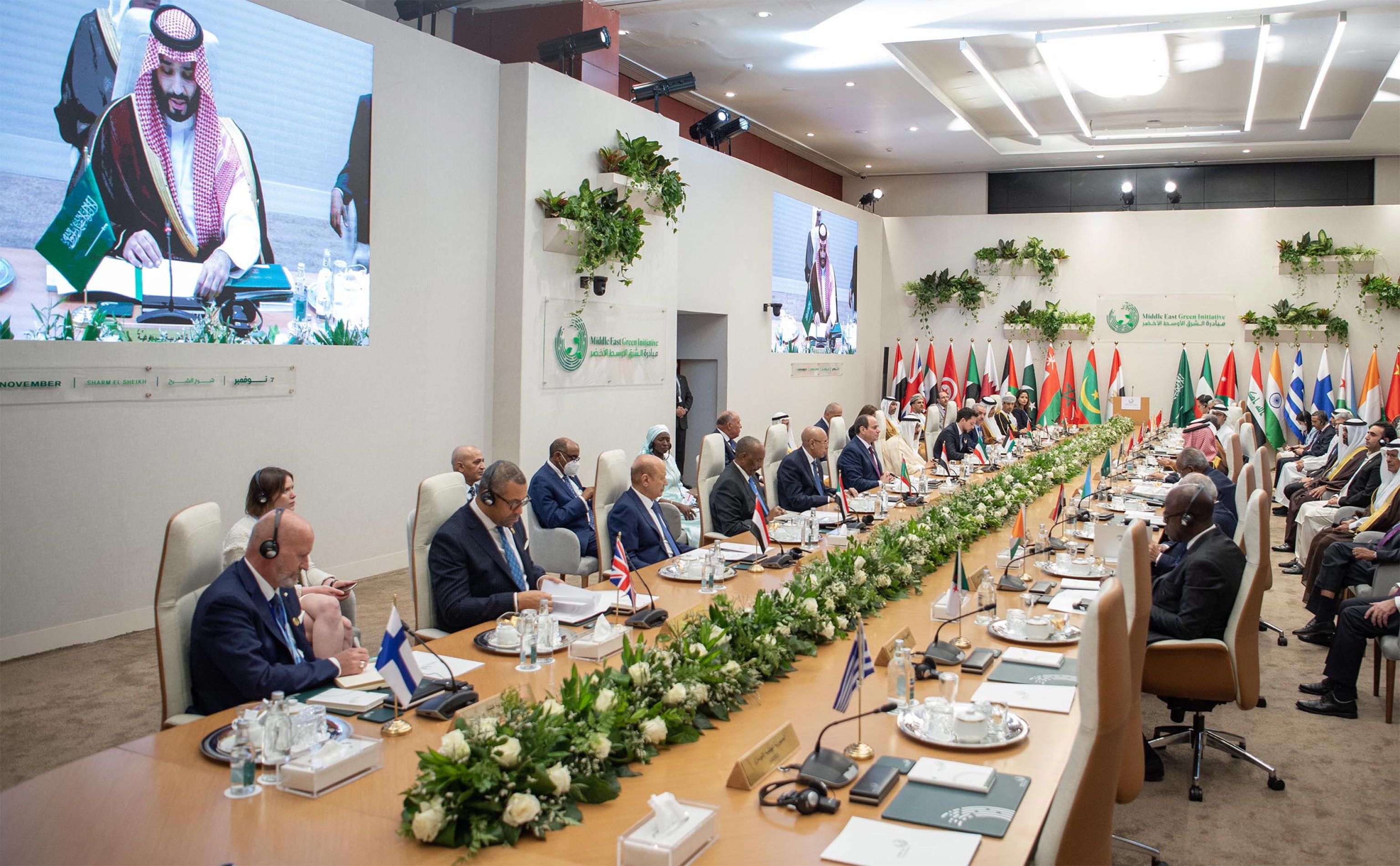 cop27