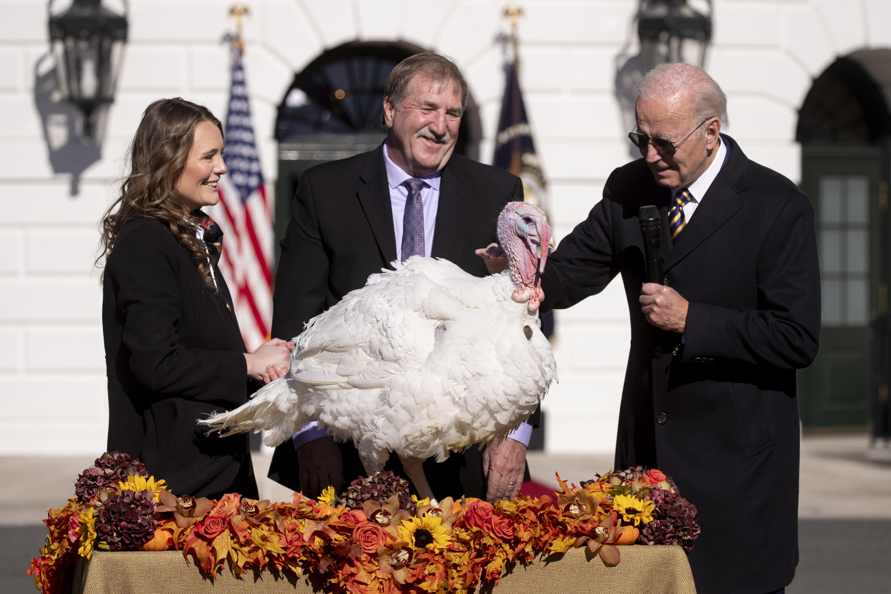 BIDEN TACCHINI