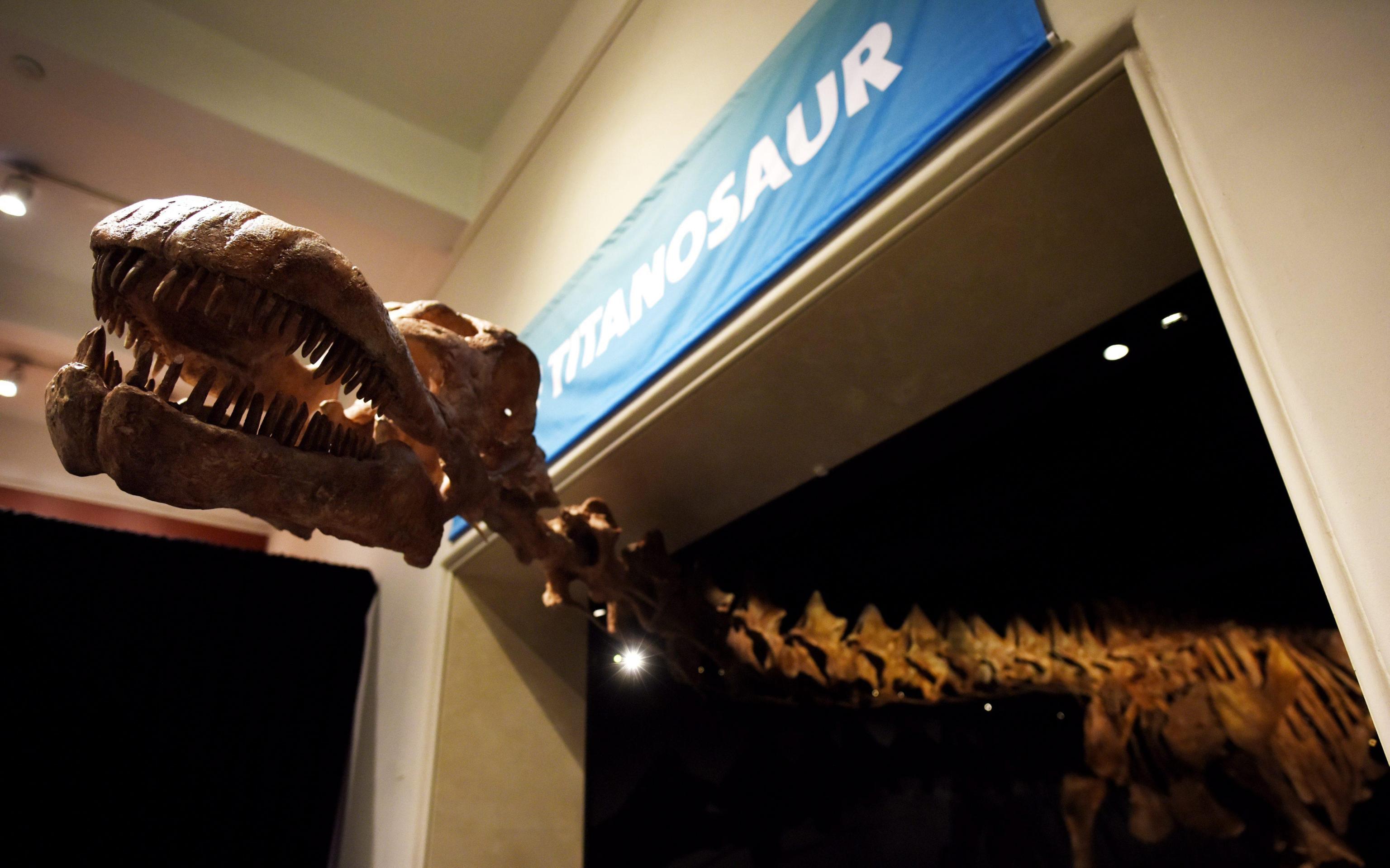 Titanosauro