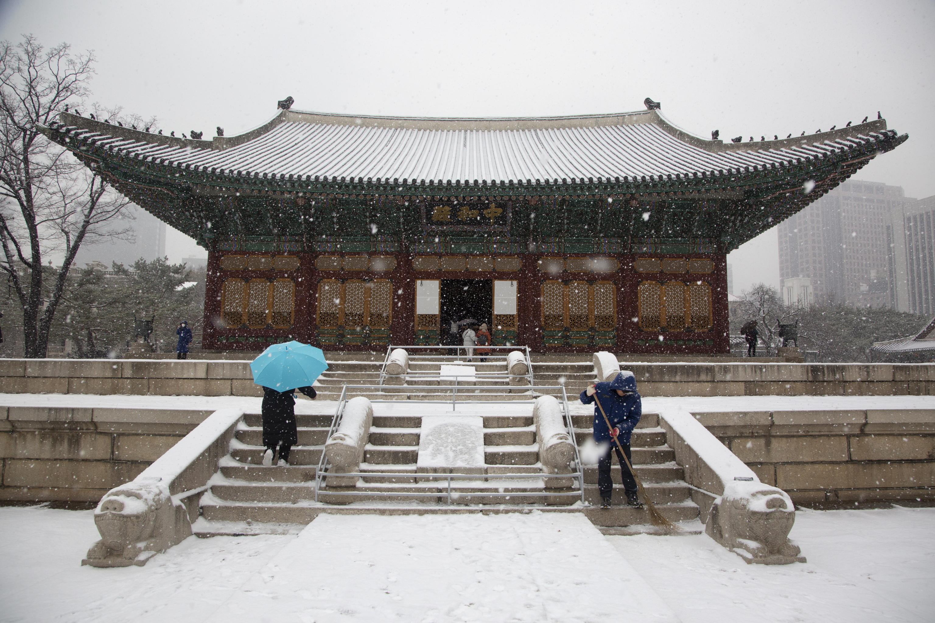 seul neve