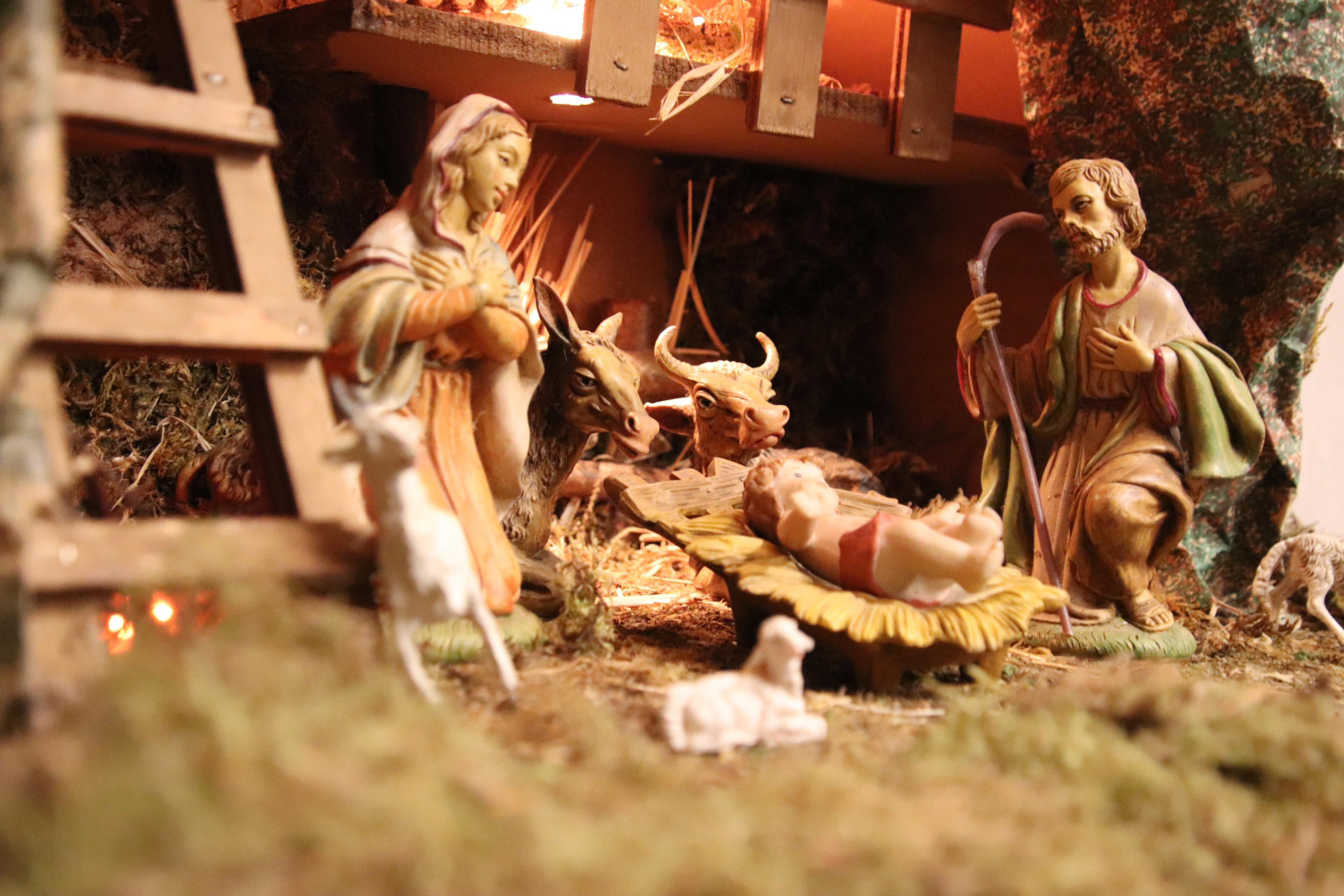 PRESEPE