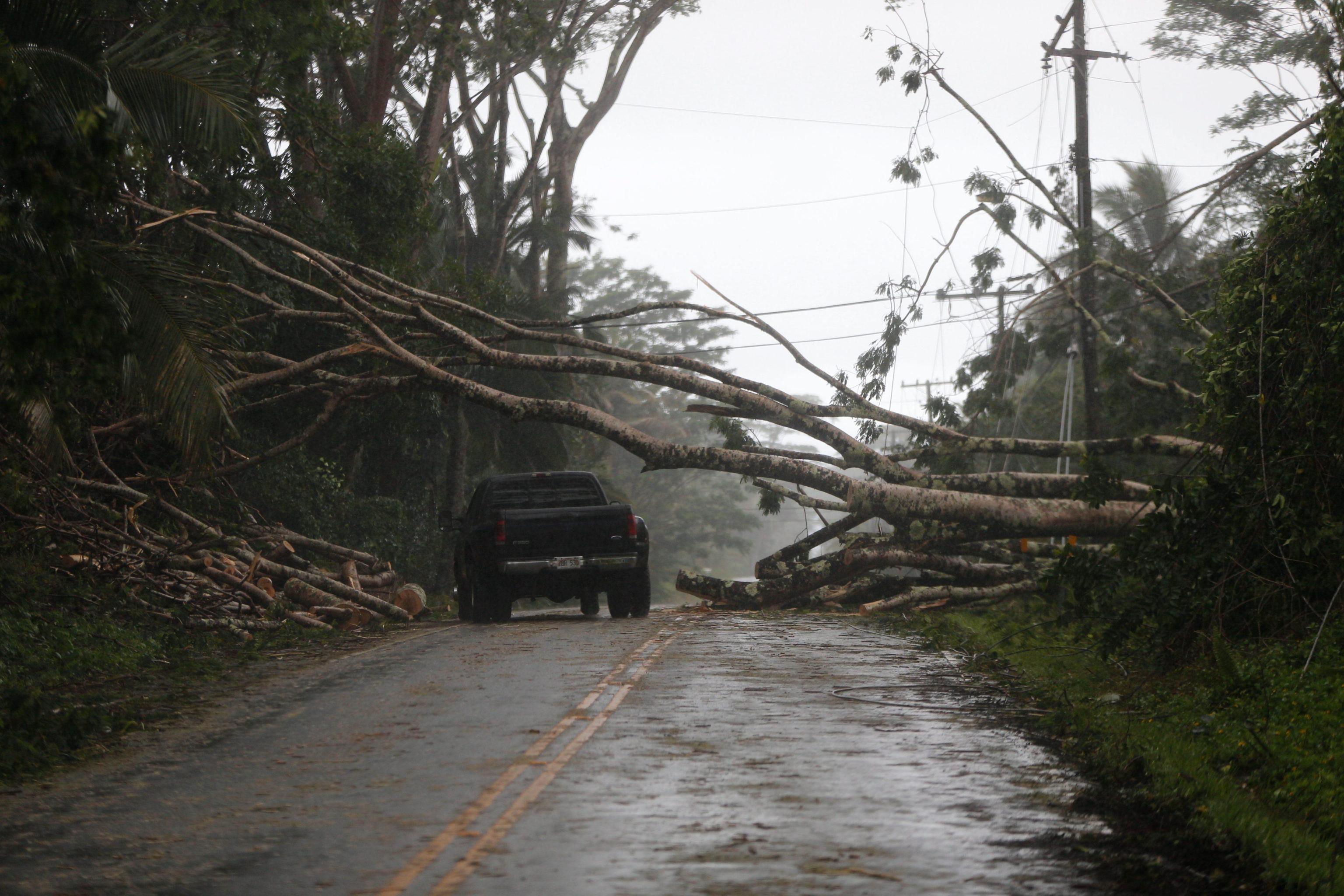 tempesta hawaii
