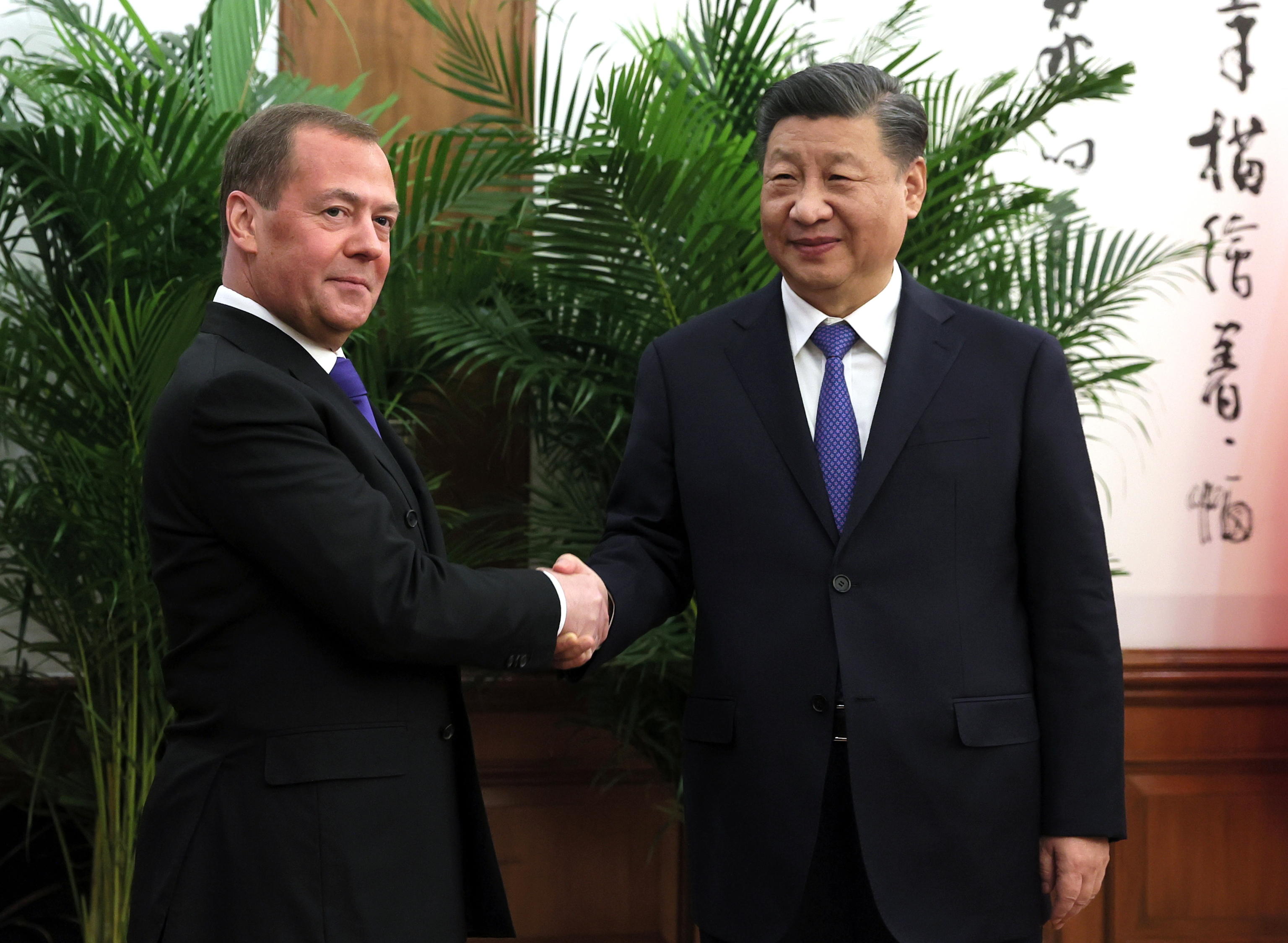 medvedev xi