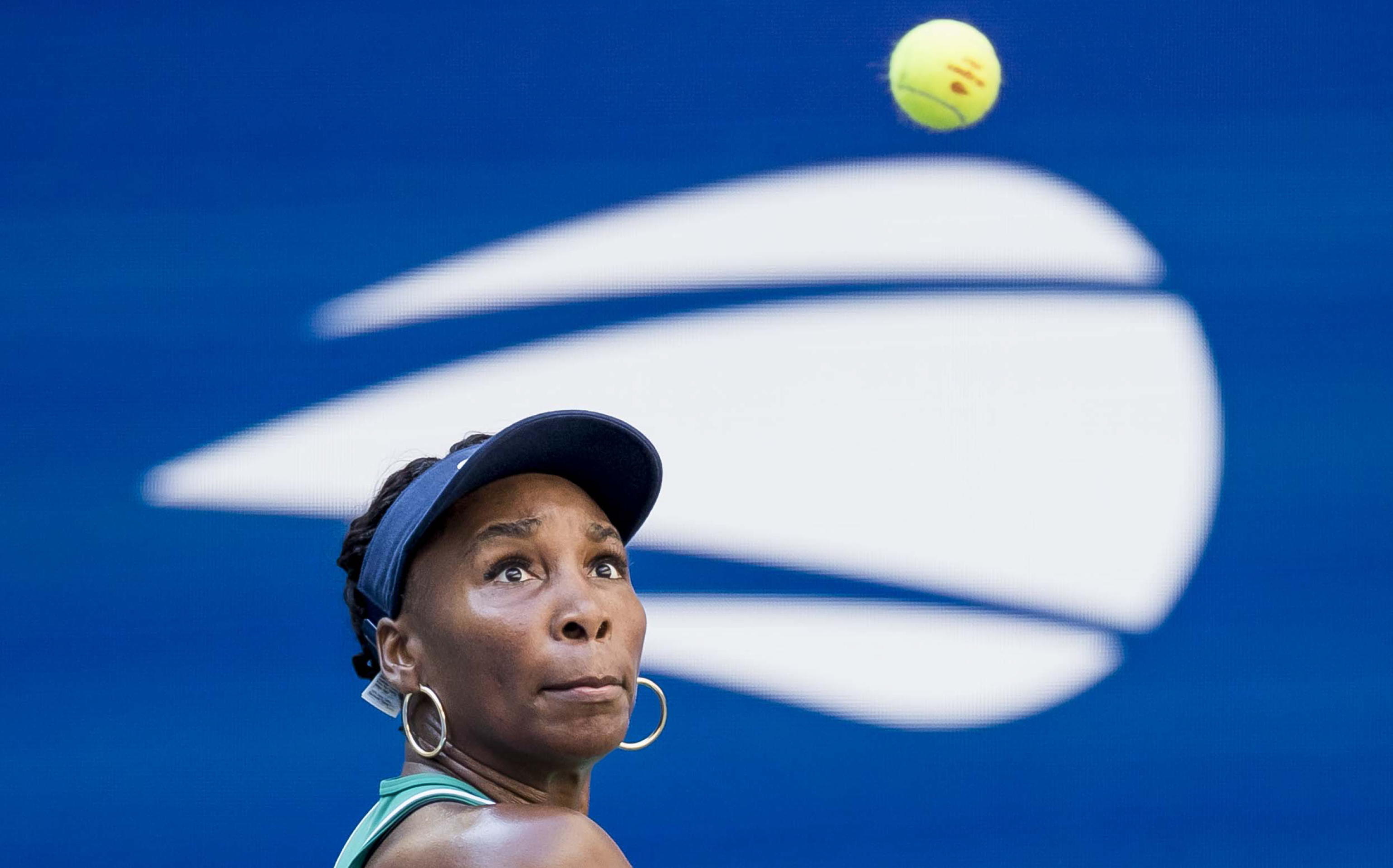 venus williams