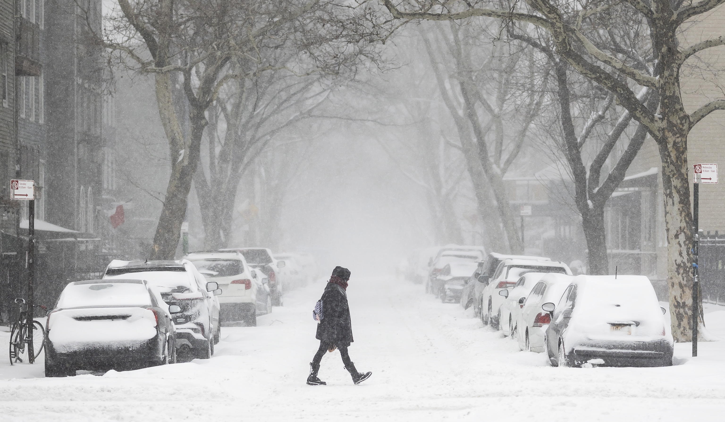 FREDDO NEVE NEW YORK