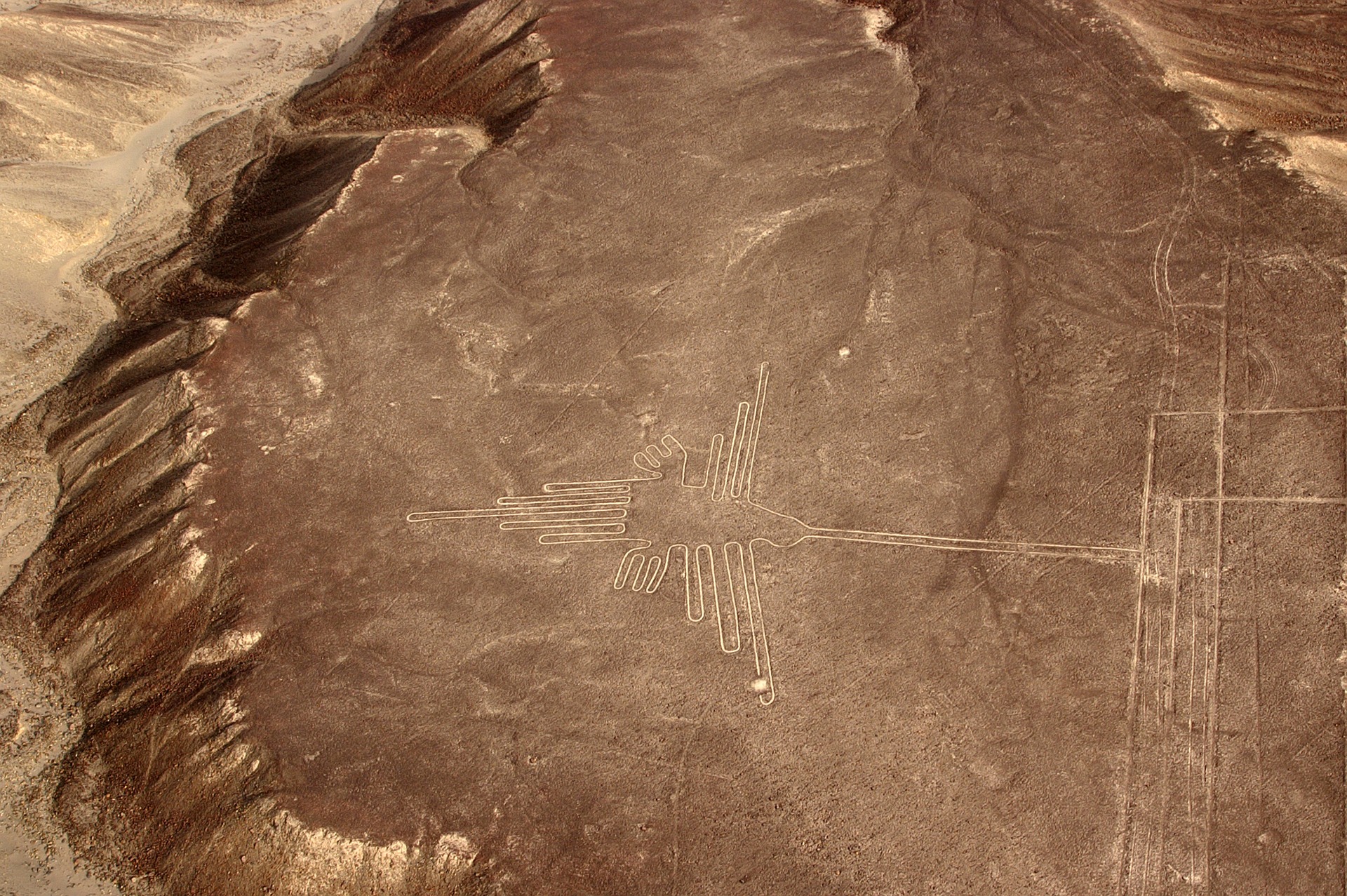 linee di Nazca