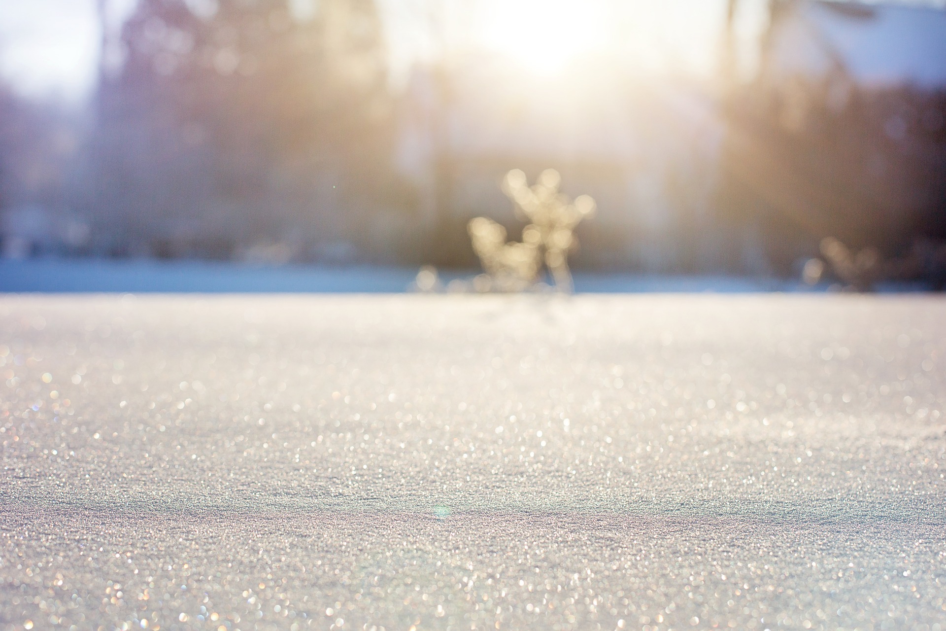 Sole inverno