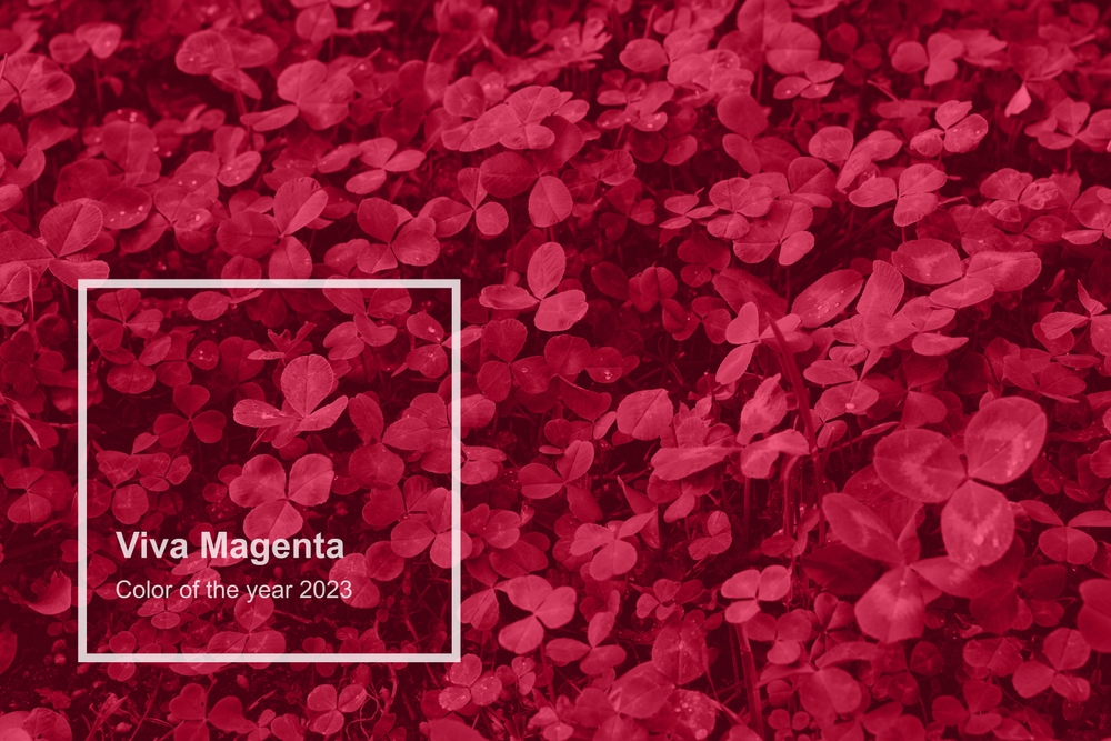 VIVA MAGENTA COLORE PANTONE