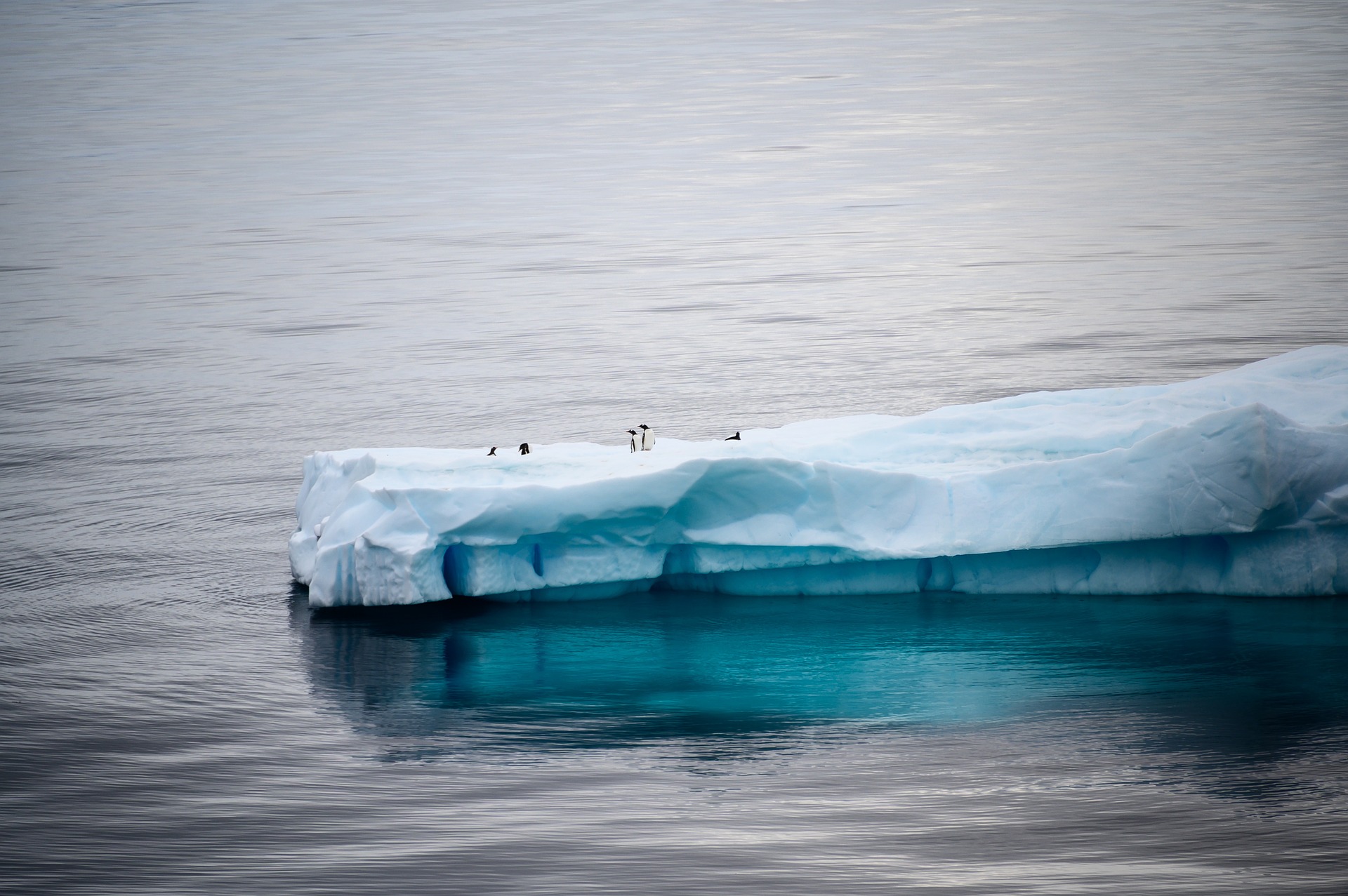 iceberg
