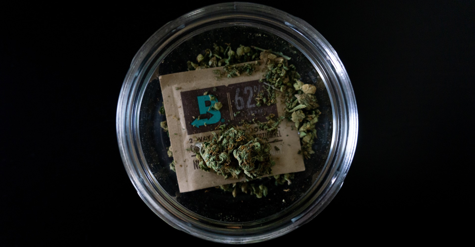 cannabis