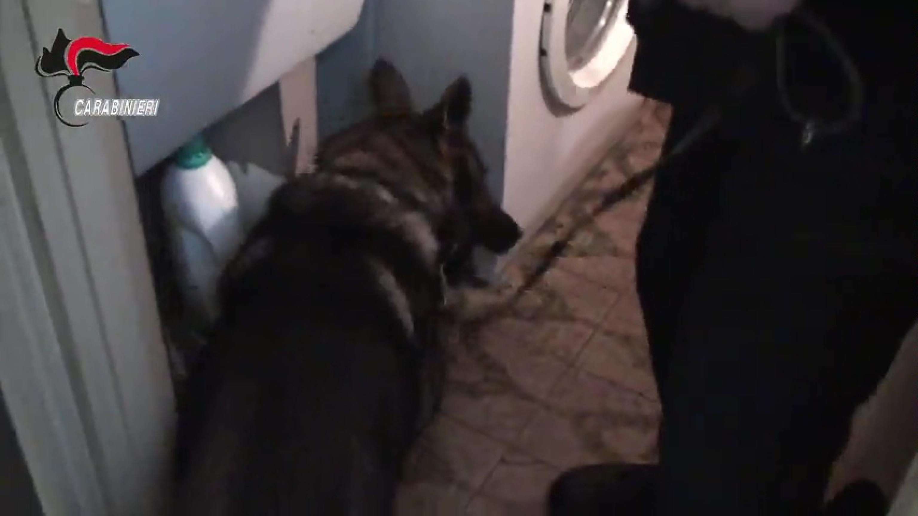 mafia arresti