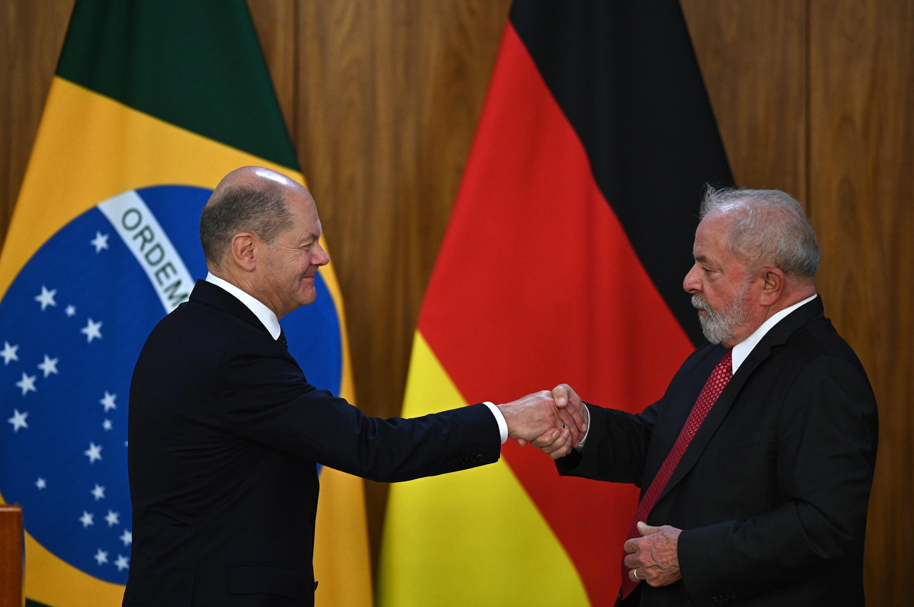 lula scholz