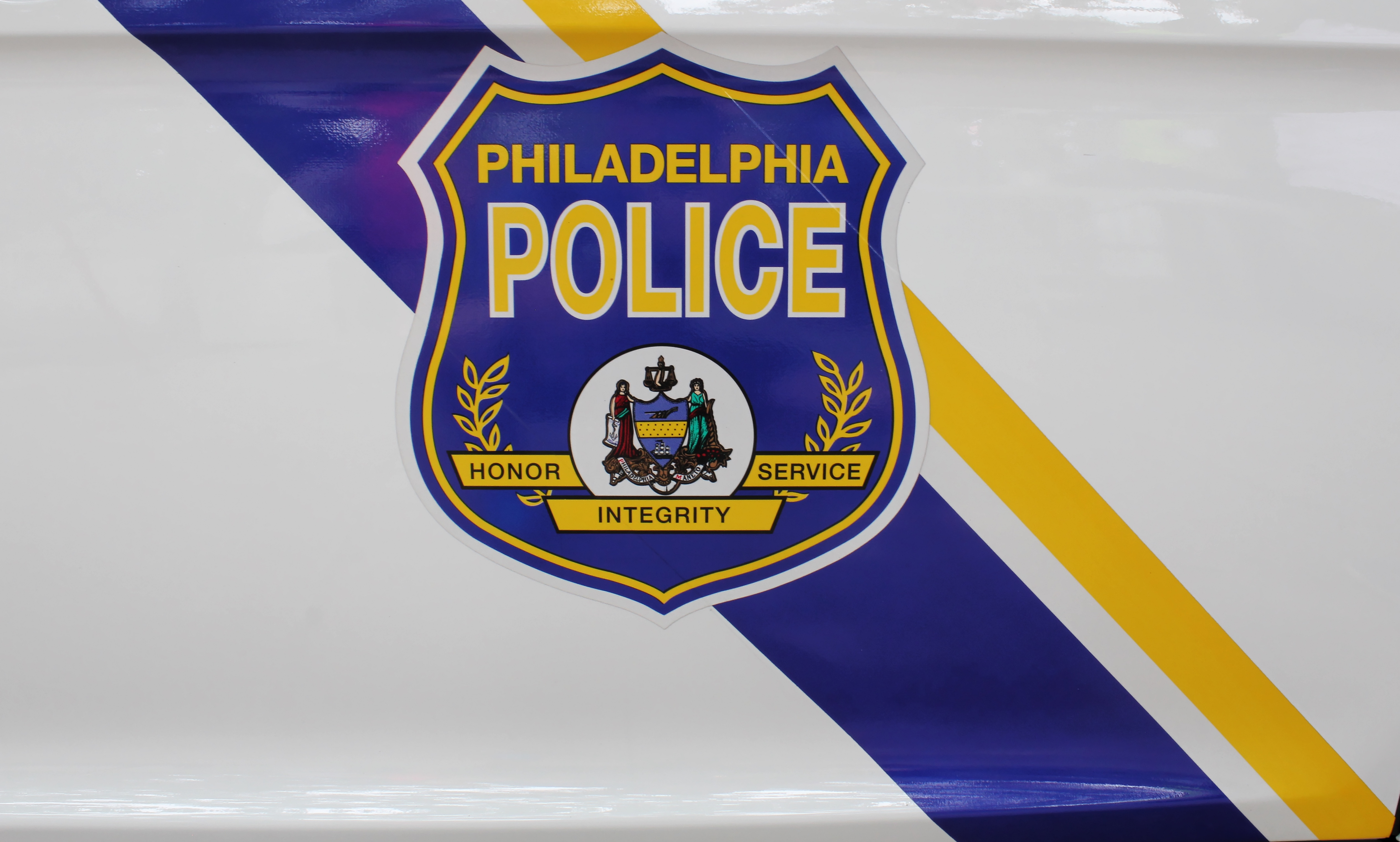 polizia USA