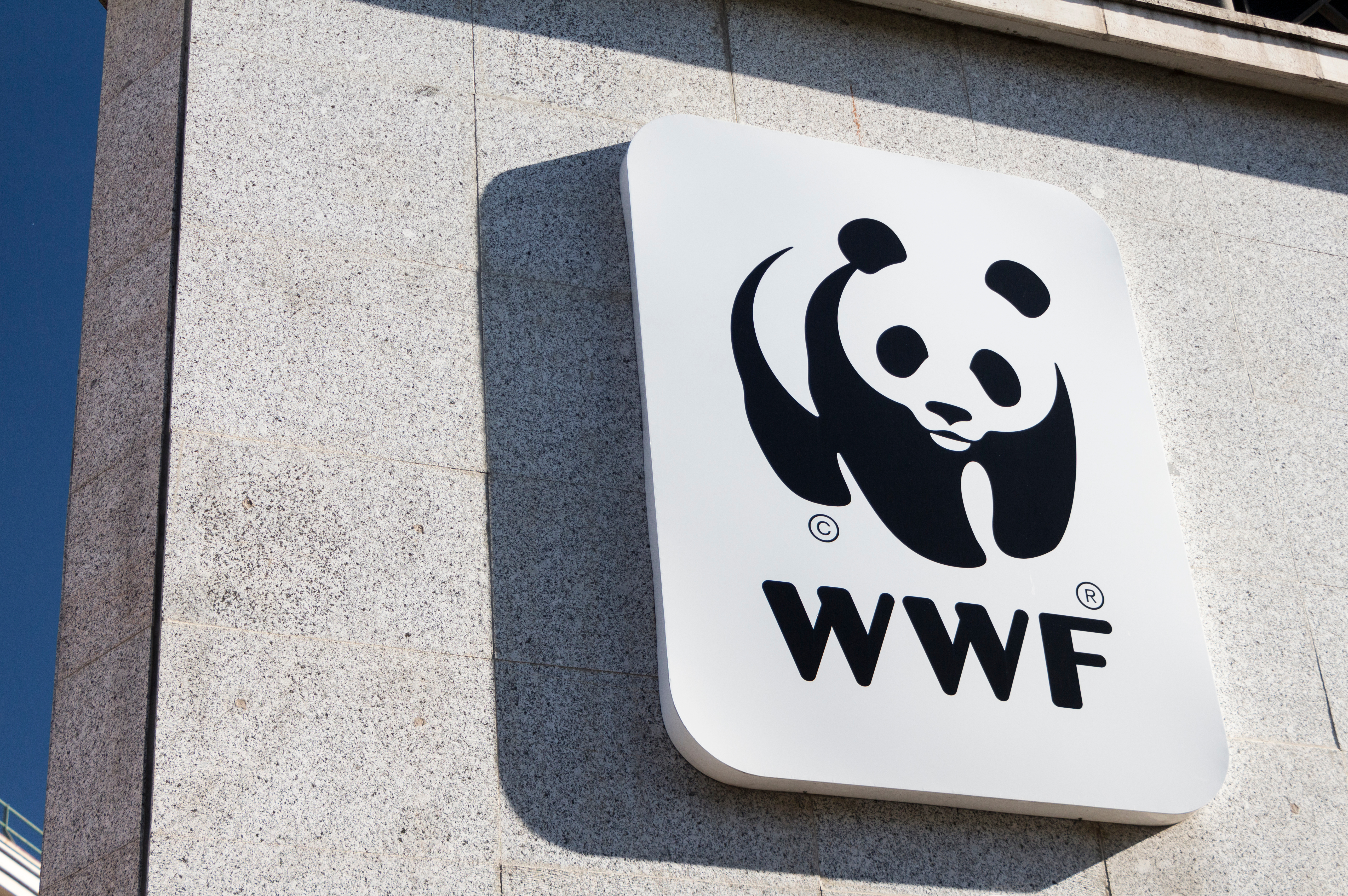 wwf