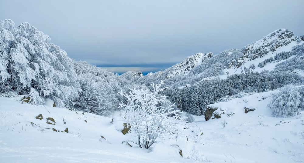 NEVE APPENNINO