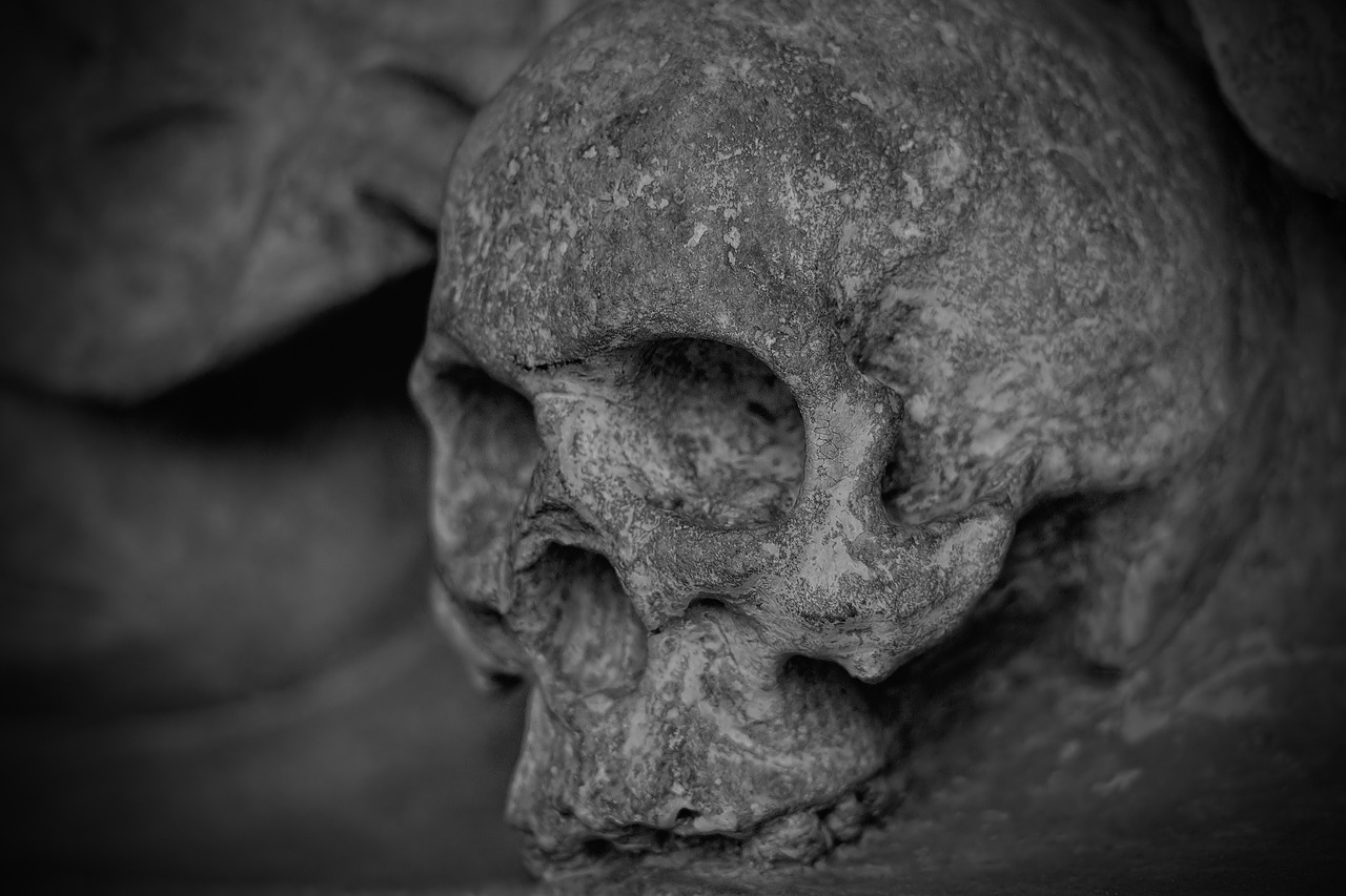 CRANIO TESCHIO