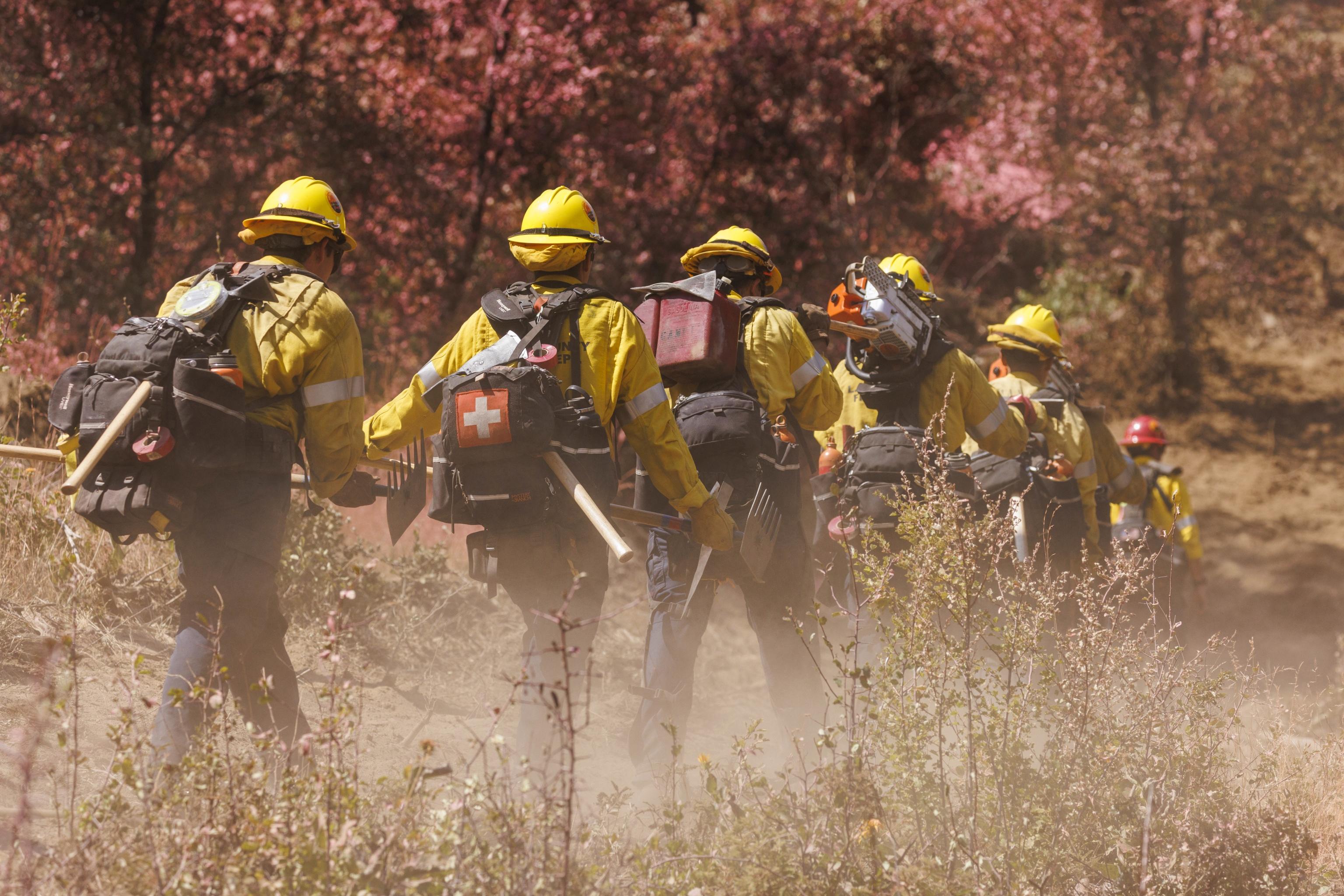 vigili del fuoco usa