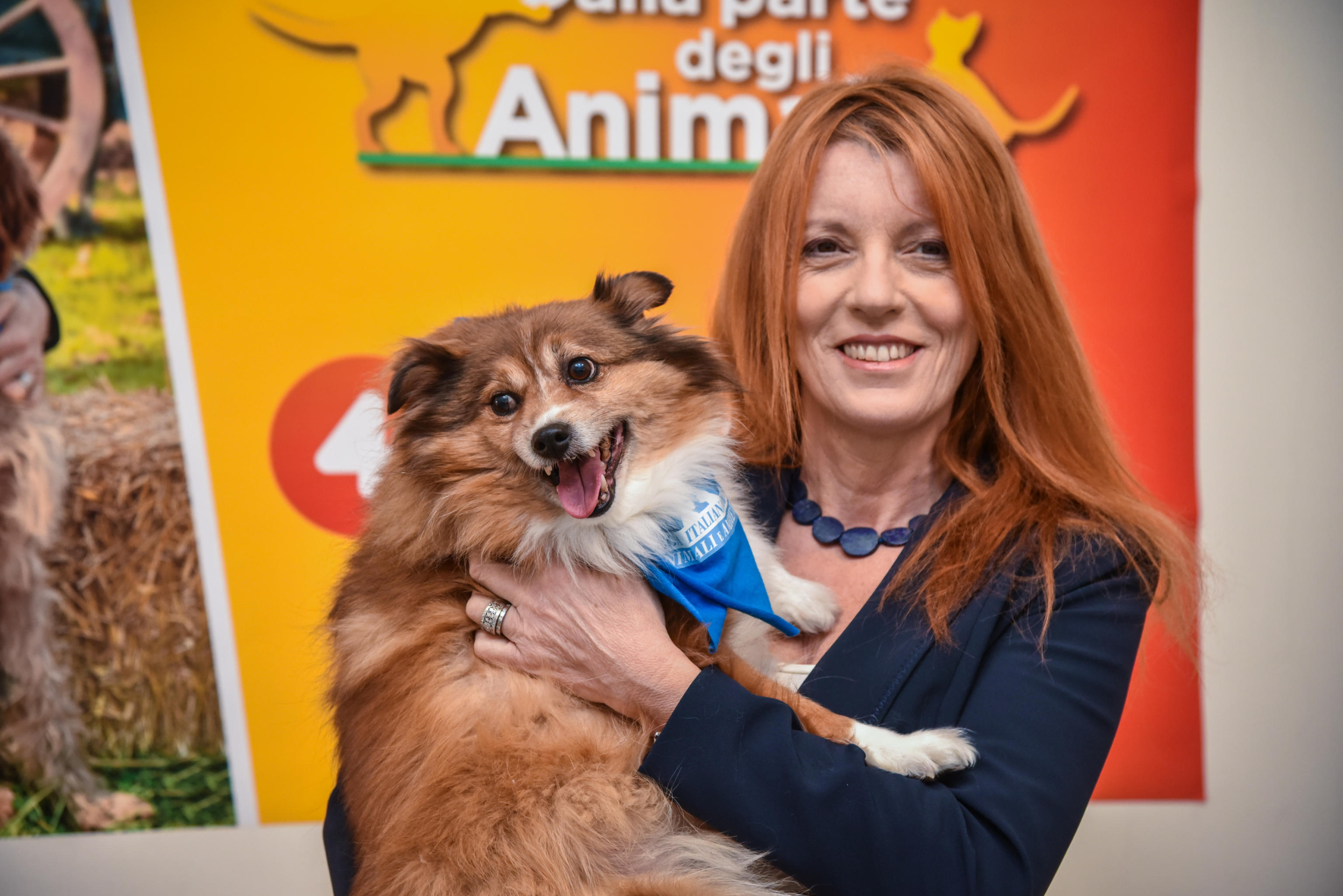 brambilla legge maltrattamento animali