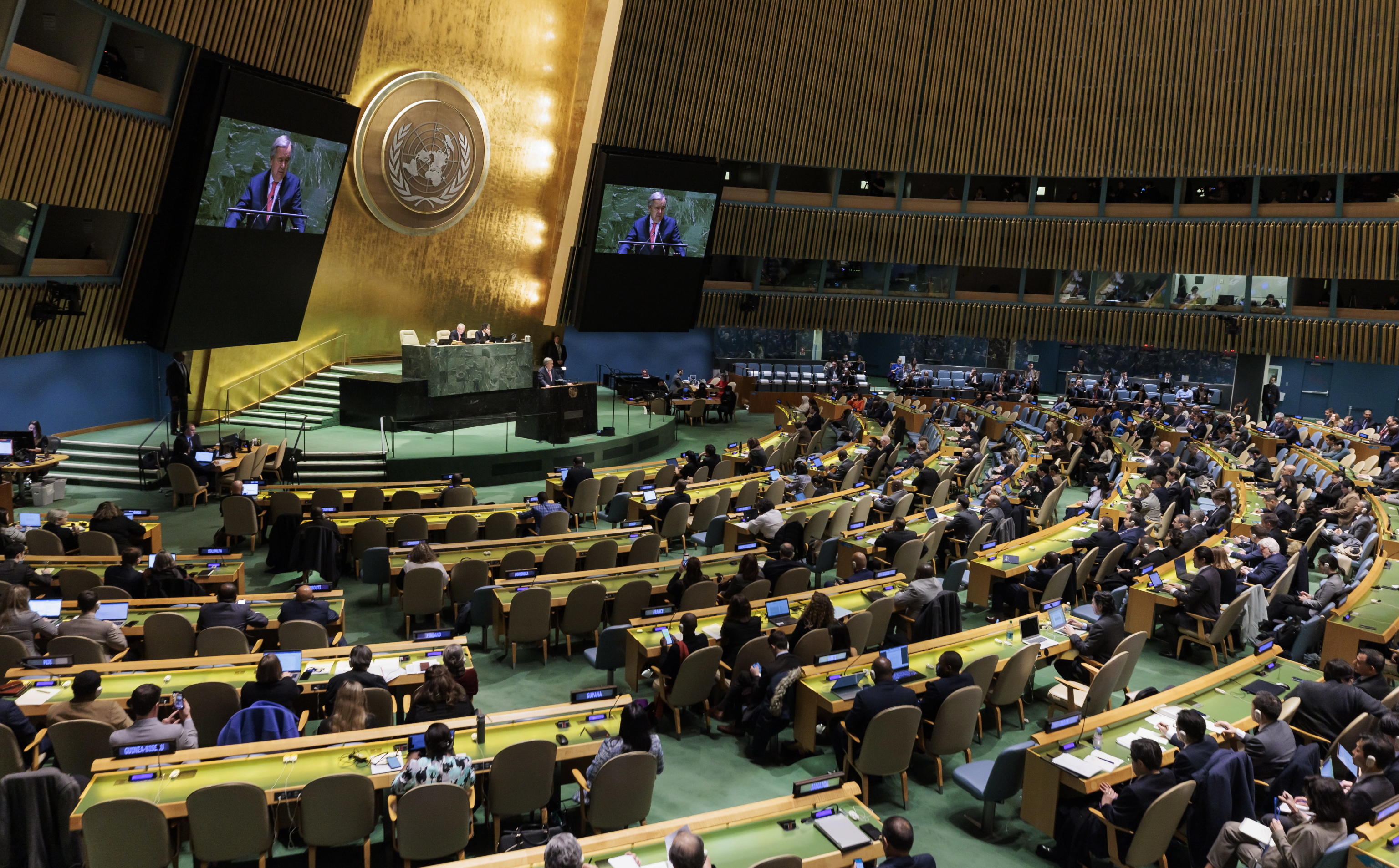 ASSEMBLEA ONU