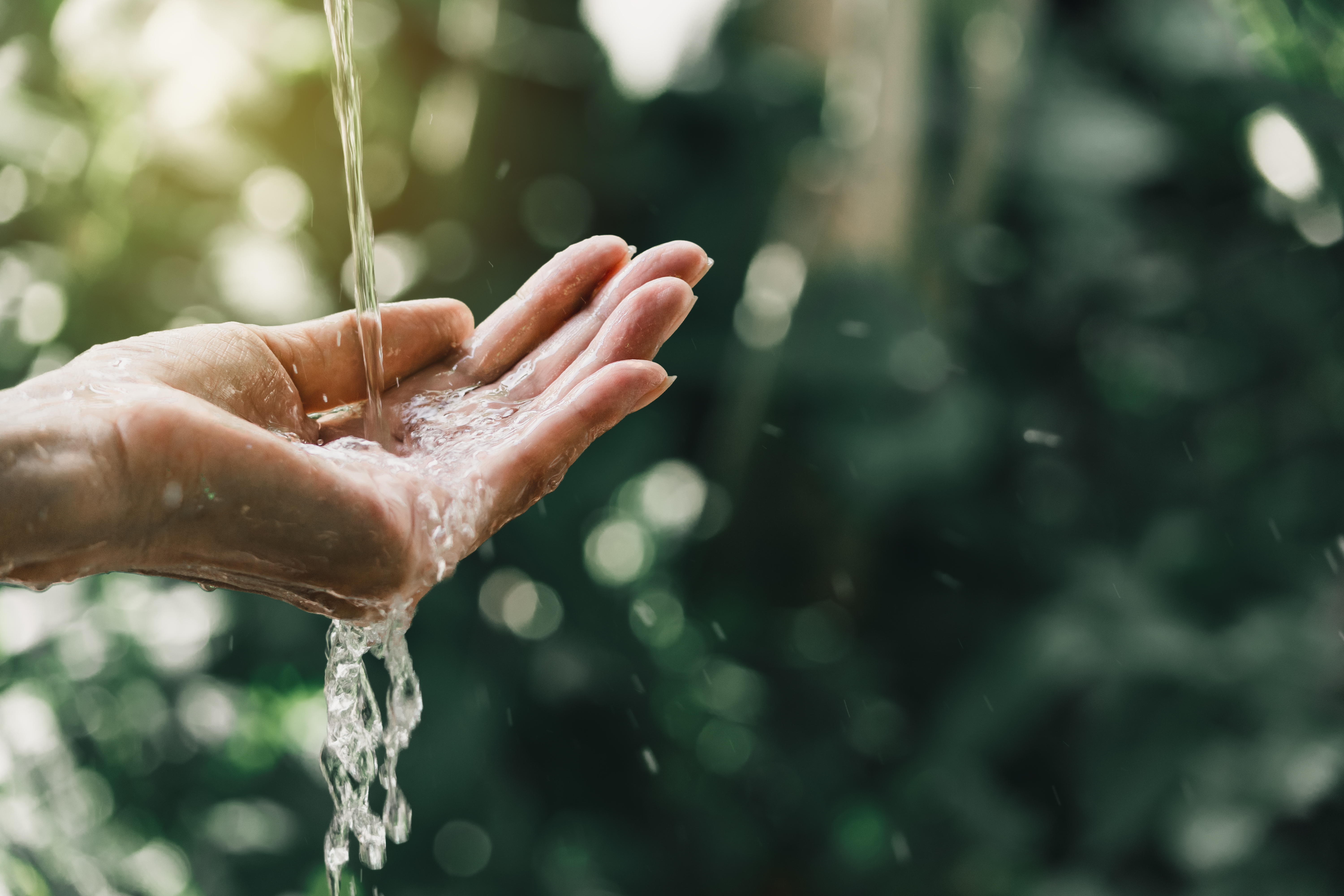 acqua