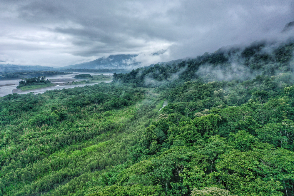 FONDO AMAZZONIA