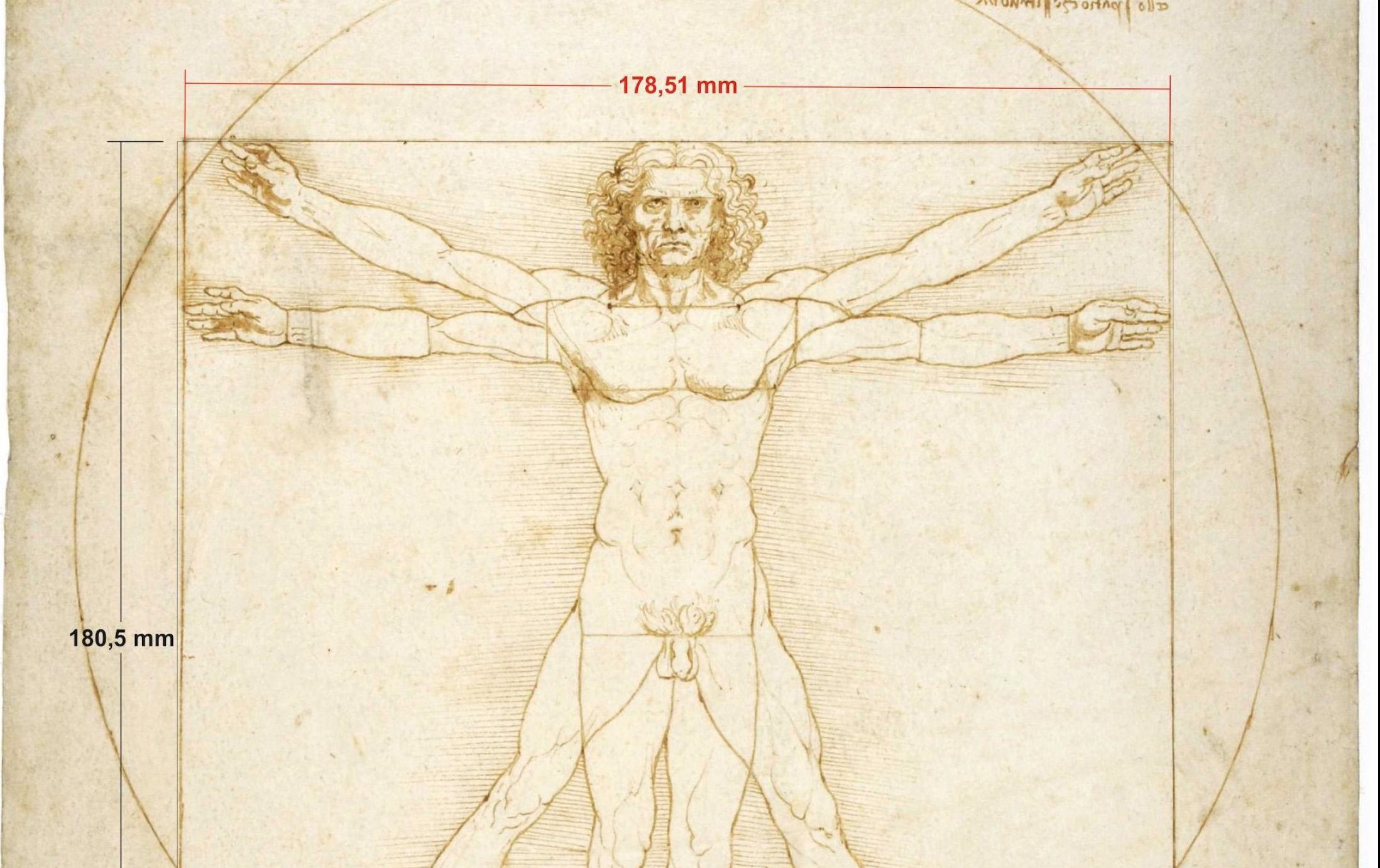 UOMO VITRUVIANO LEONARDO DA VINCI