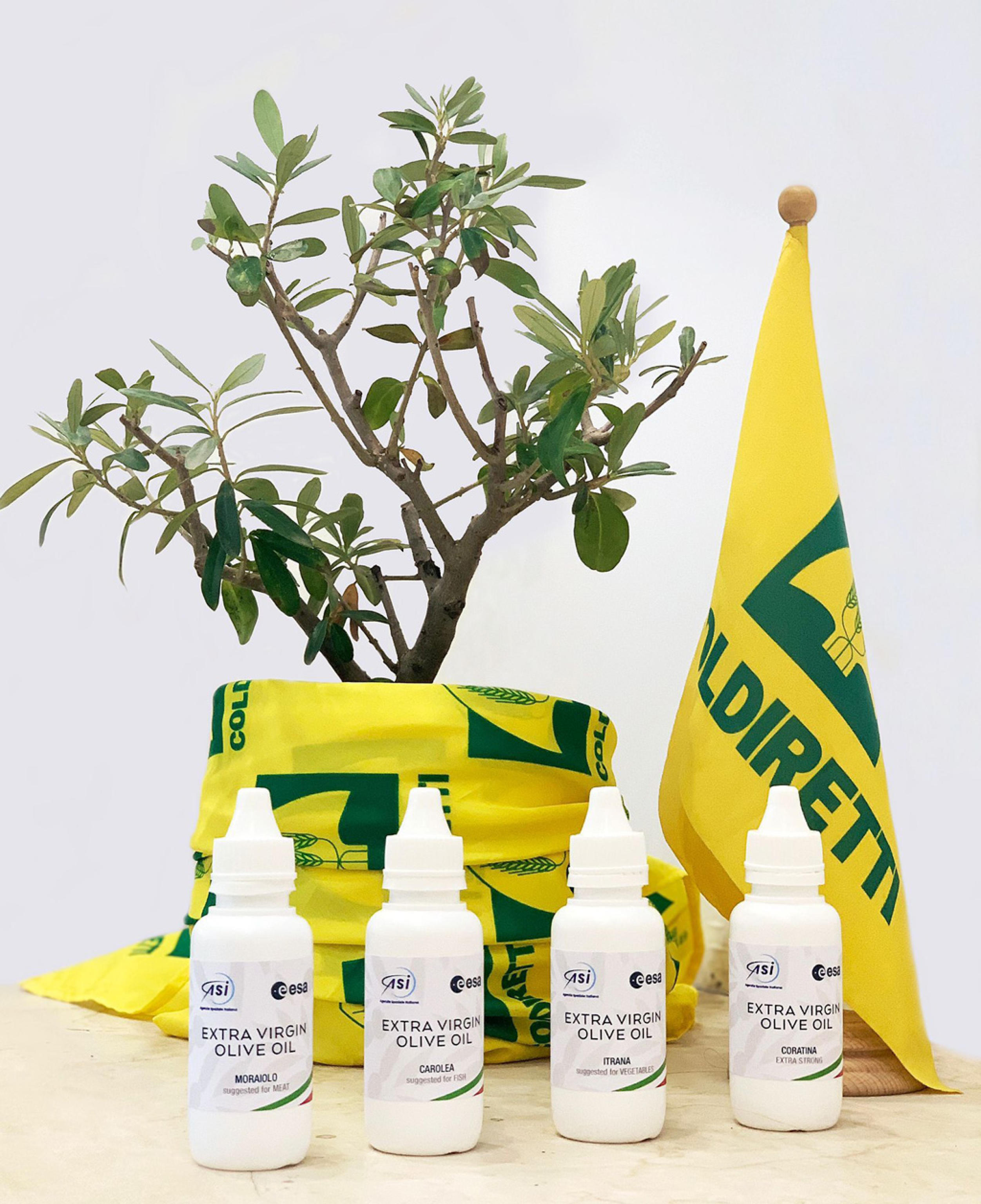 olio