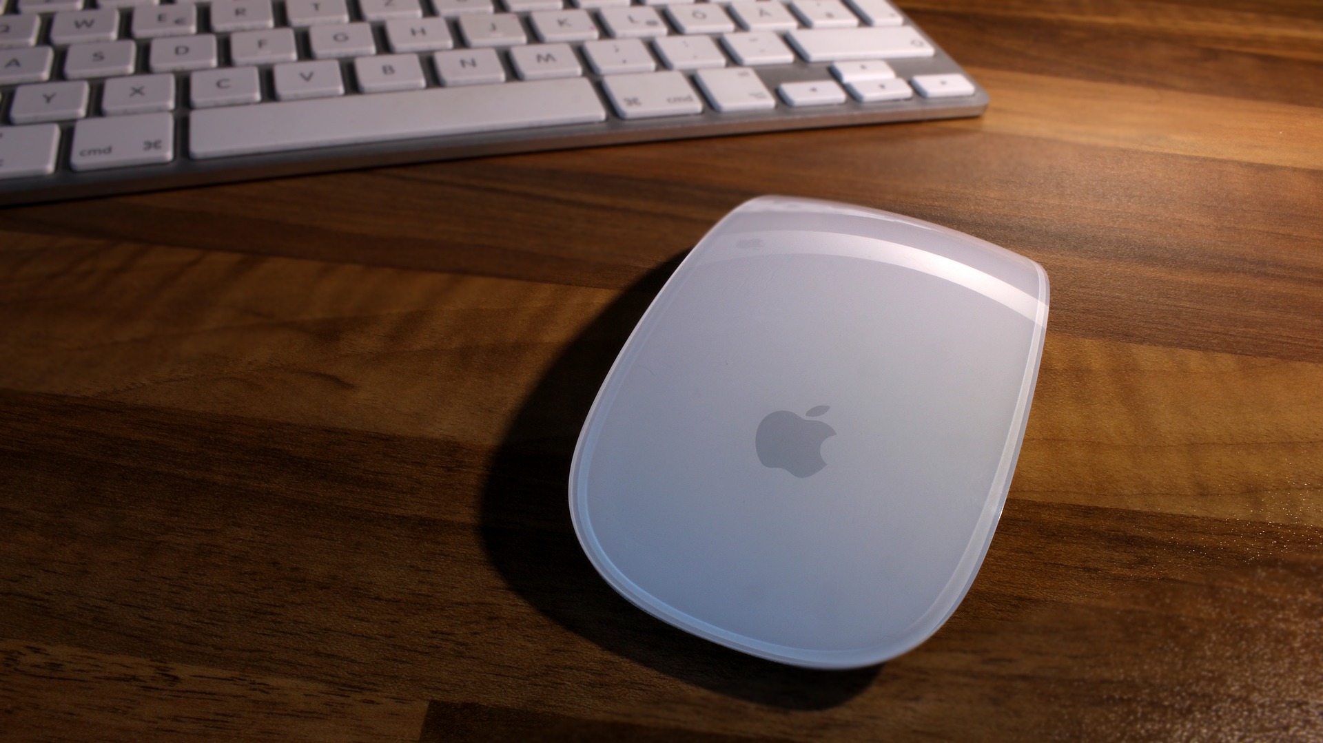 mouse