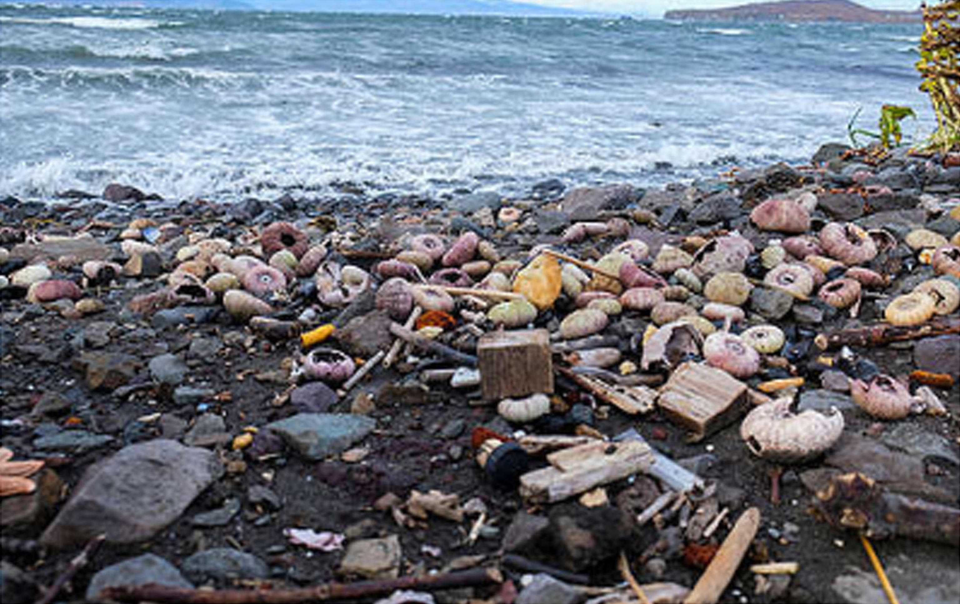 terremoto Kamchatka