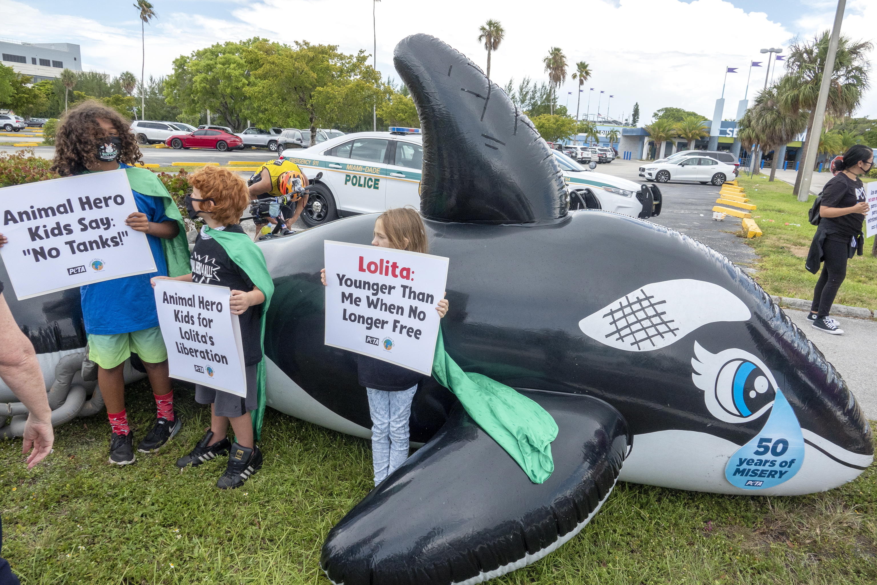 orca lolita